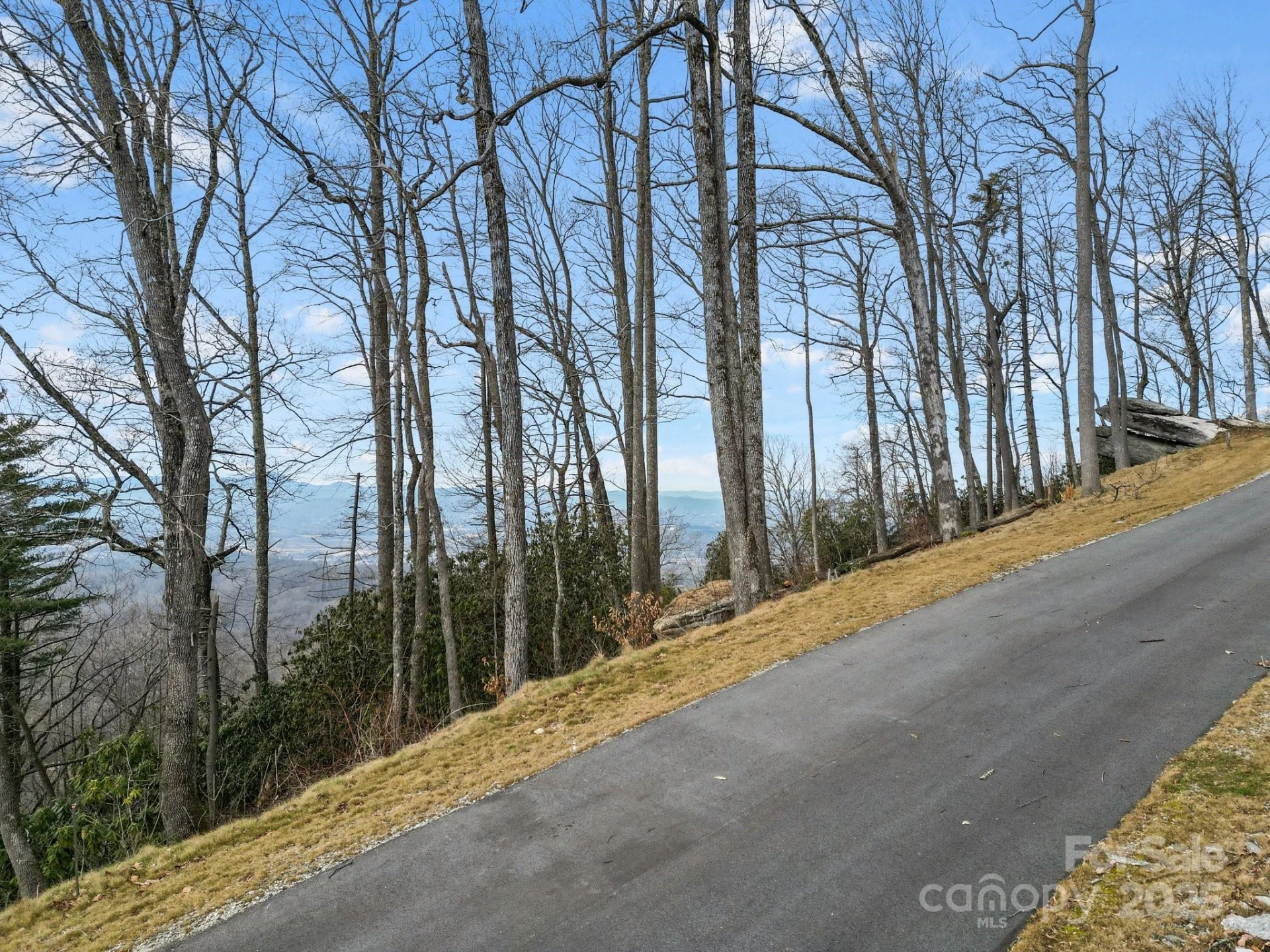 Lot 65 Featherstone Drive #65 - Photo 8