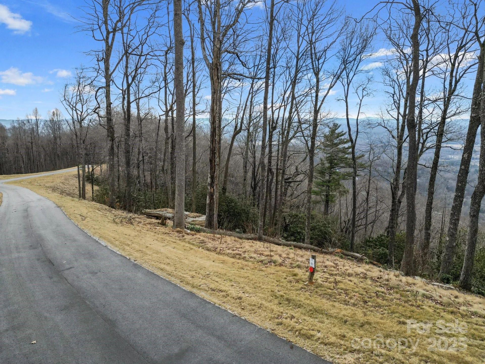 Lot 65 Featherstone Drive #65 - Photo 9