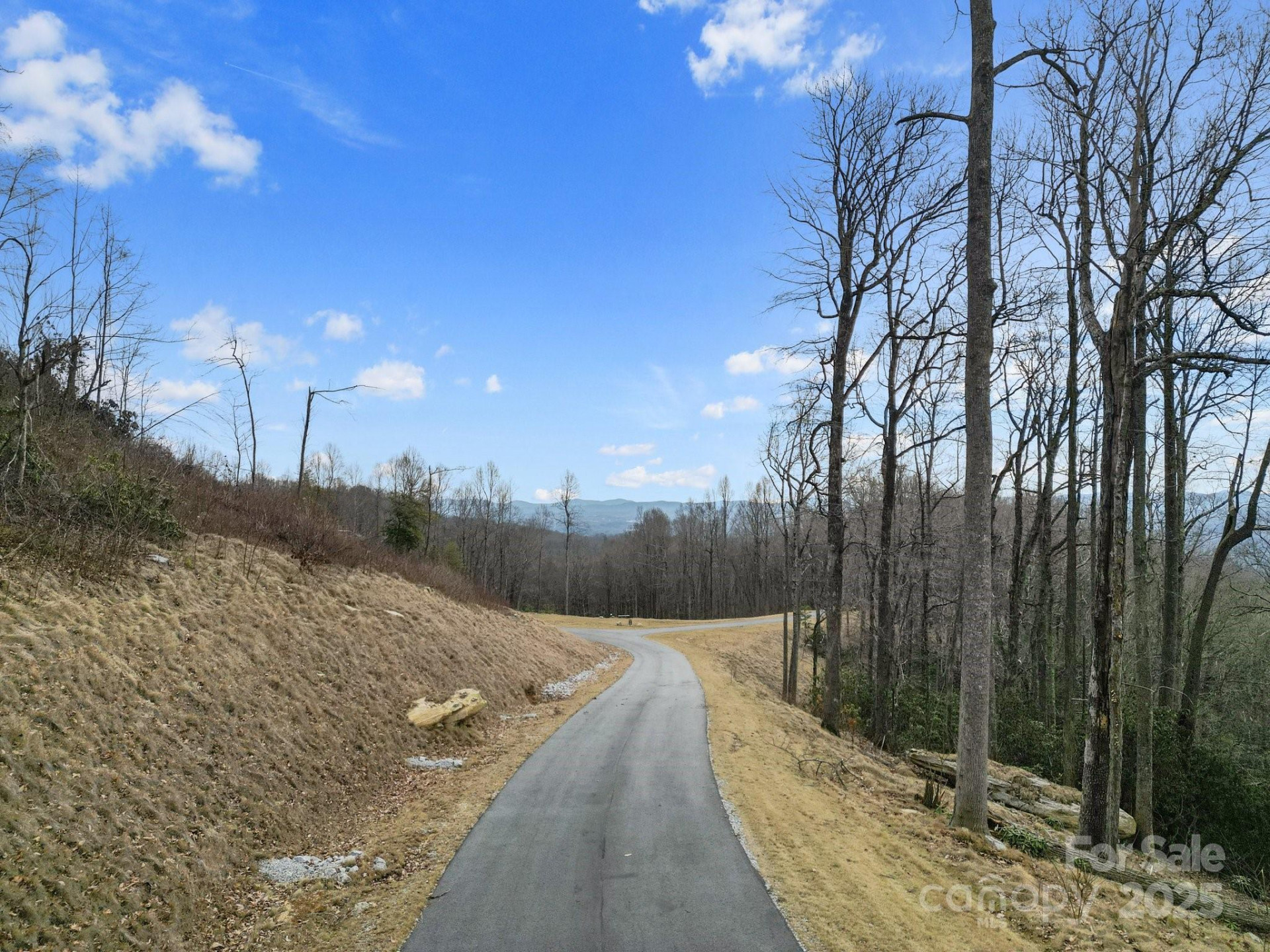 Lot 65 Featherstone Drive #65 - Photo 10