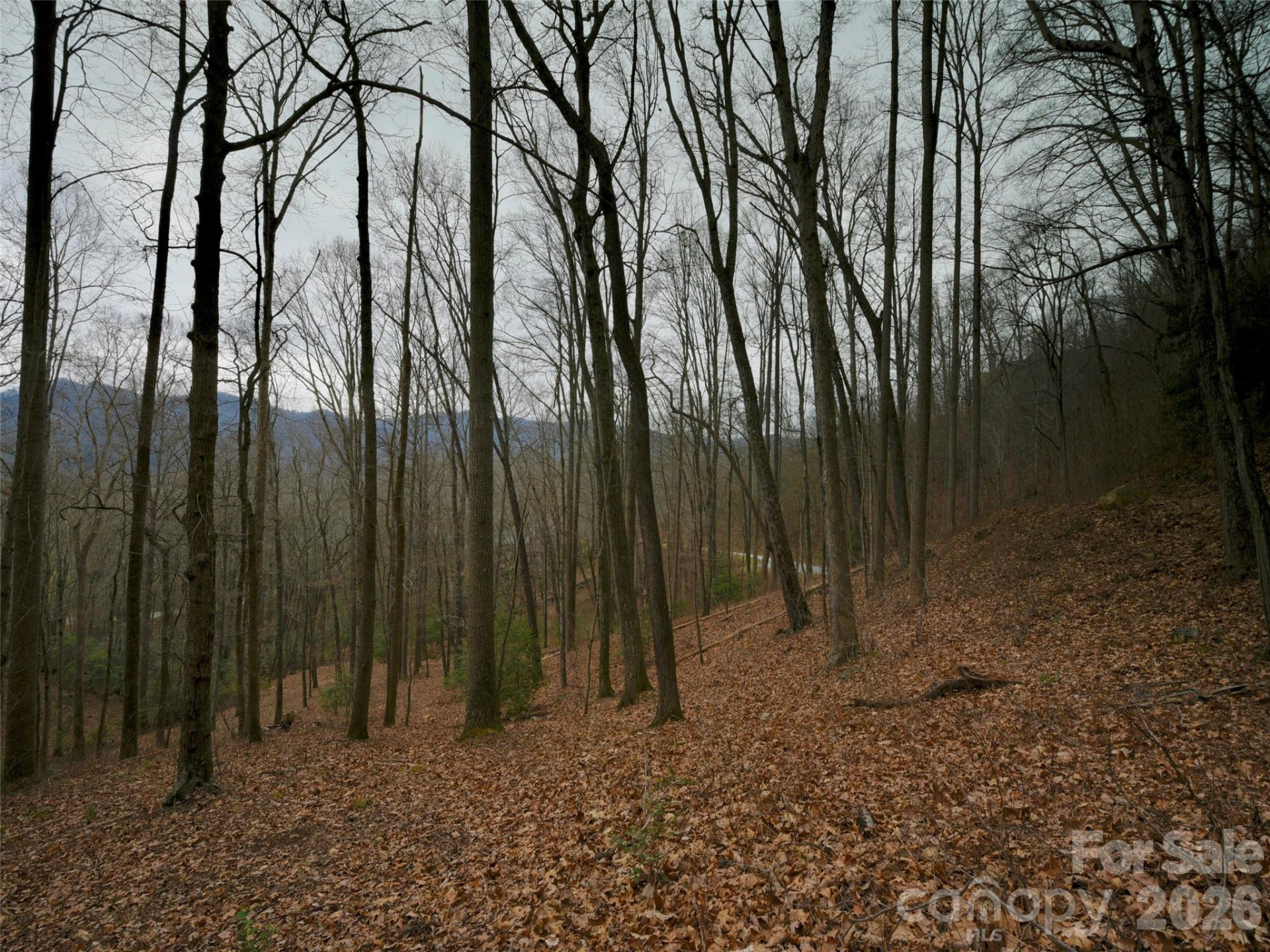 841 Blackthorne Lane - Photo 12