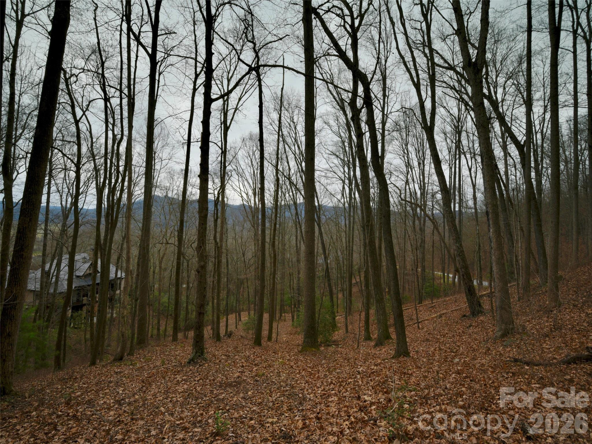 841 Blackthorne Lane - Photo 13