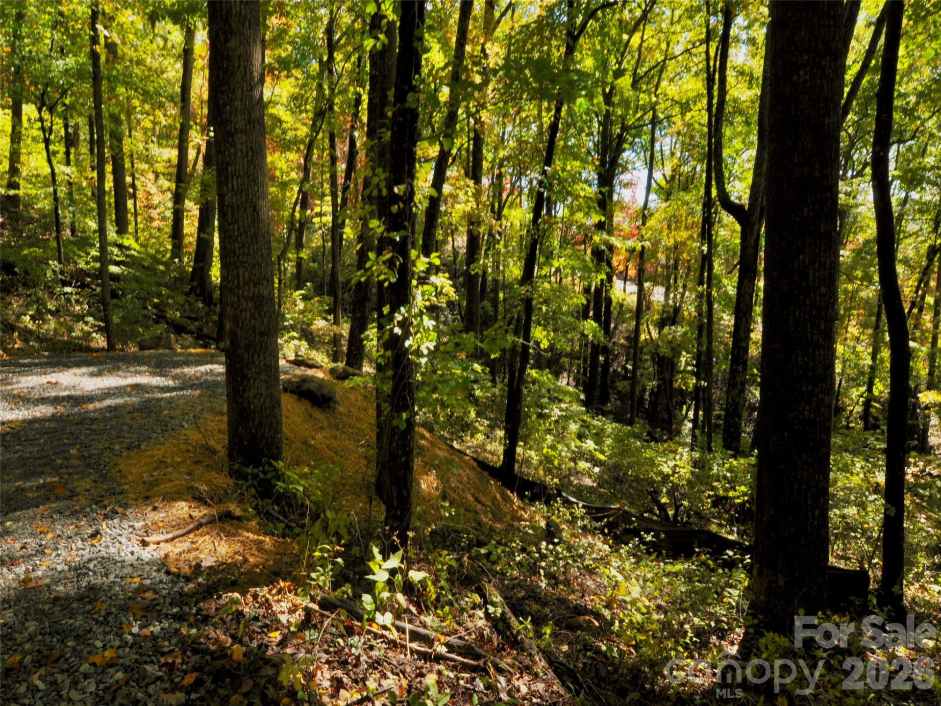 841 Blackthorne Lane - Photo 15