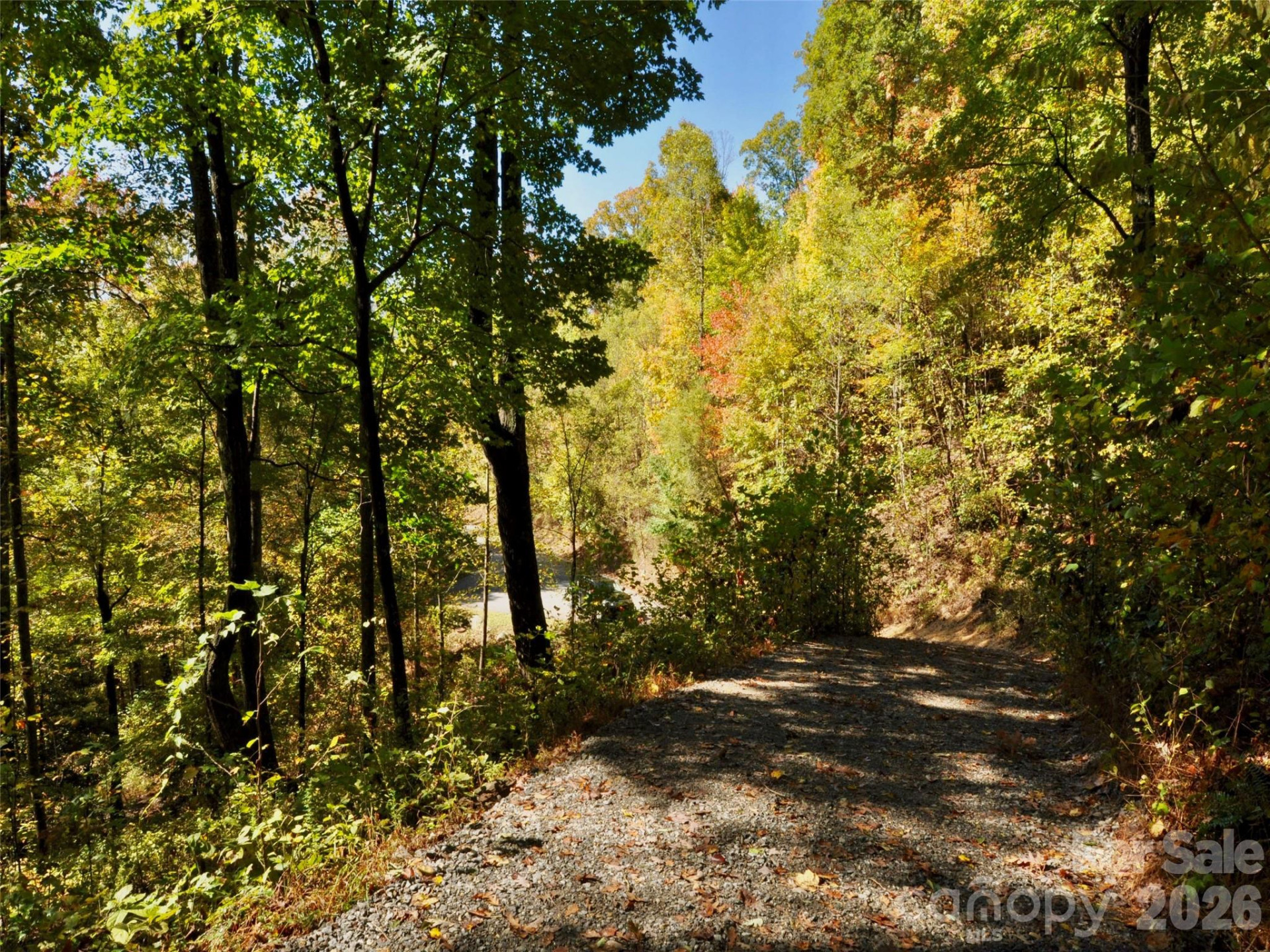 841 Blackthorne Lane - Photo 16