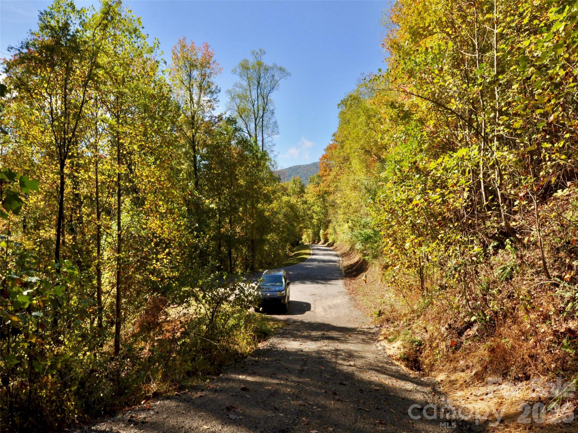 841 Blackthorne Lane - Photo 17