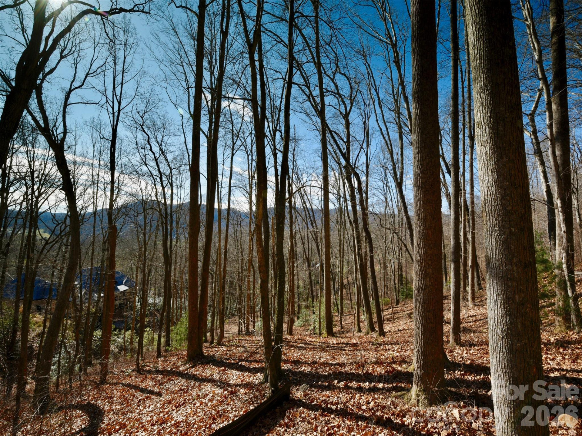 841 Blackthorne Lane - Photo 18