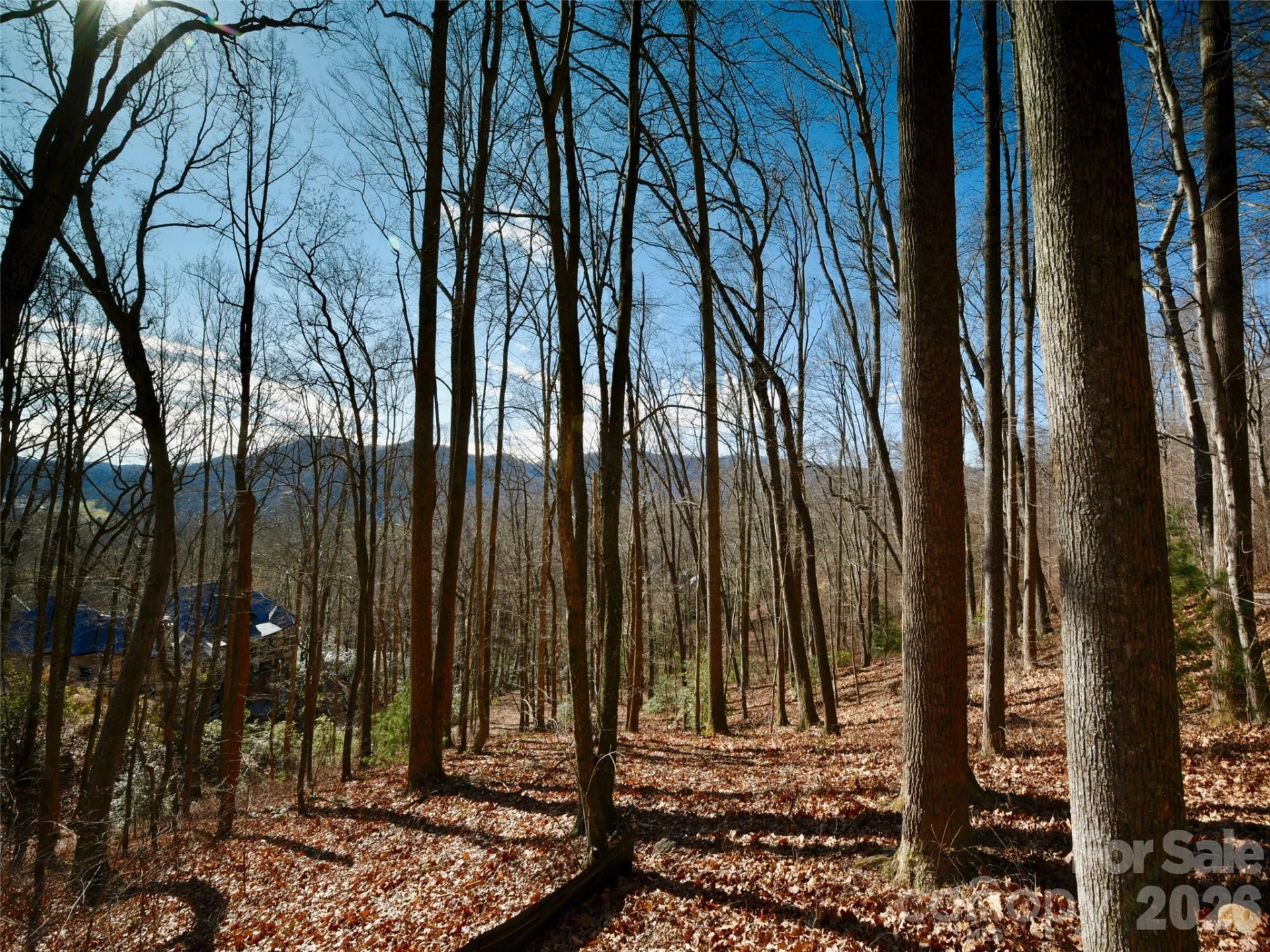 841 Blackthorne Lane - Photo 18