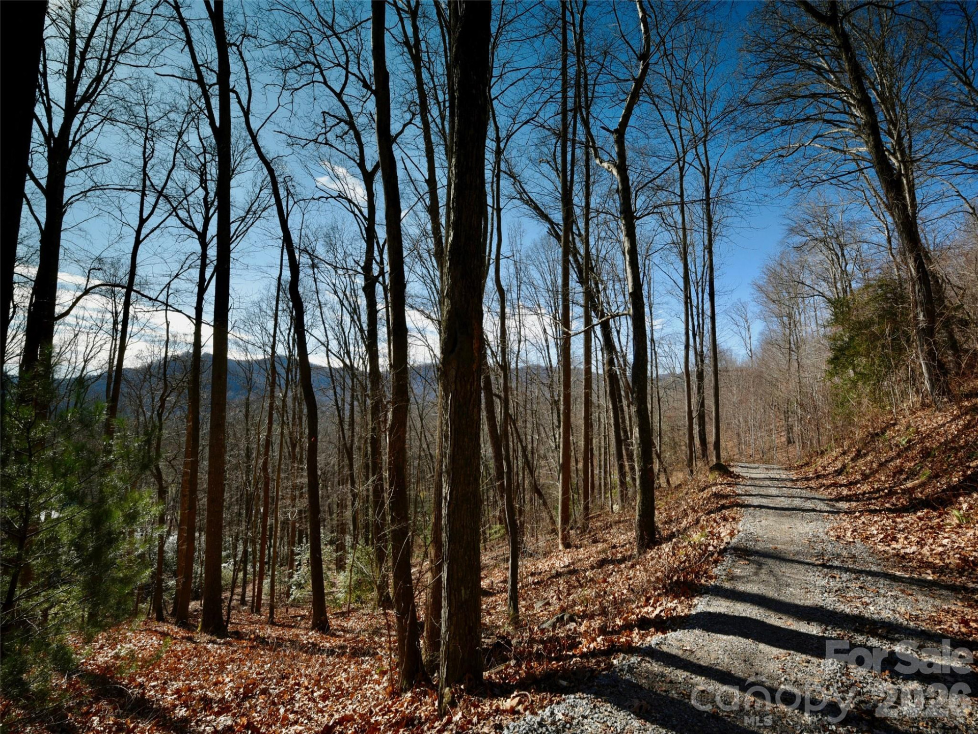 841 Blackthorne Lane - Photo 19