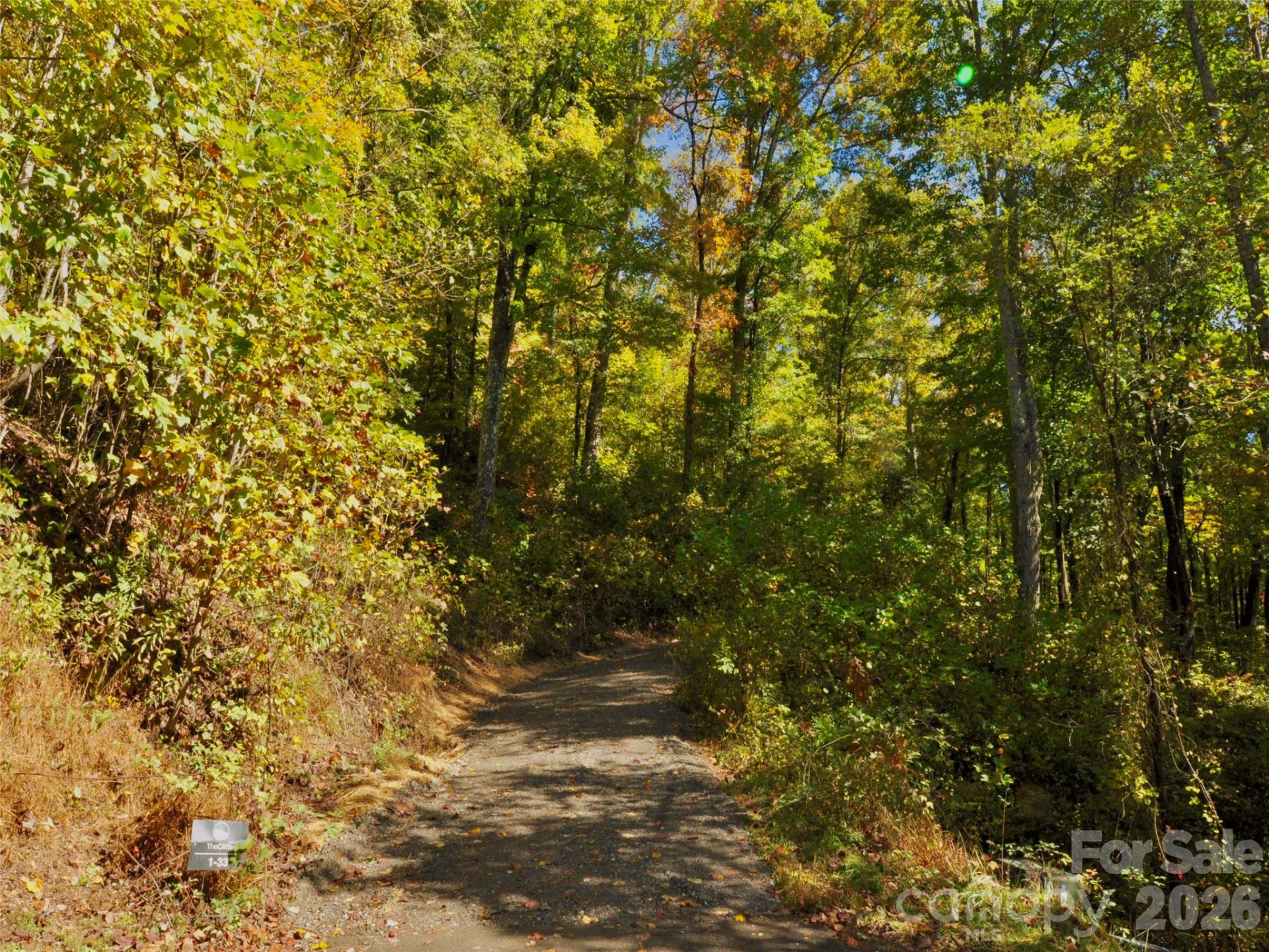 841 Blackthorne Lane - Photo 20