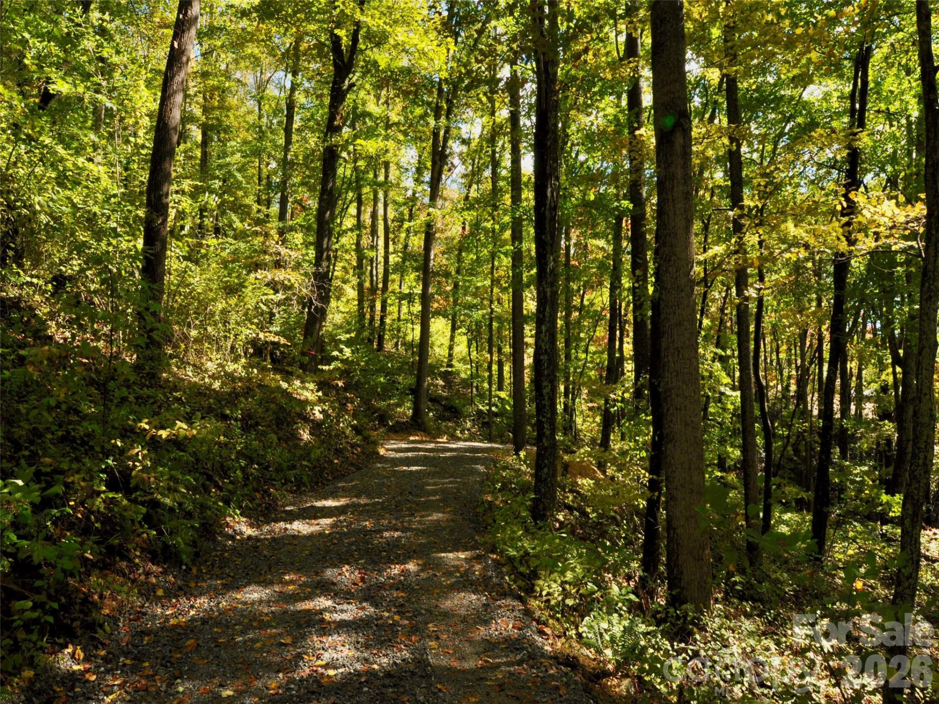 841 Blackthorne Lane - Photo 21