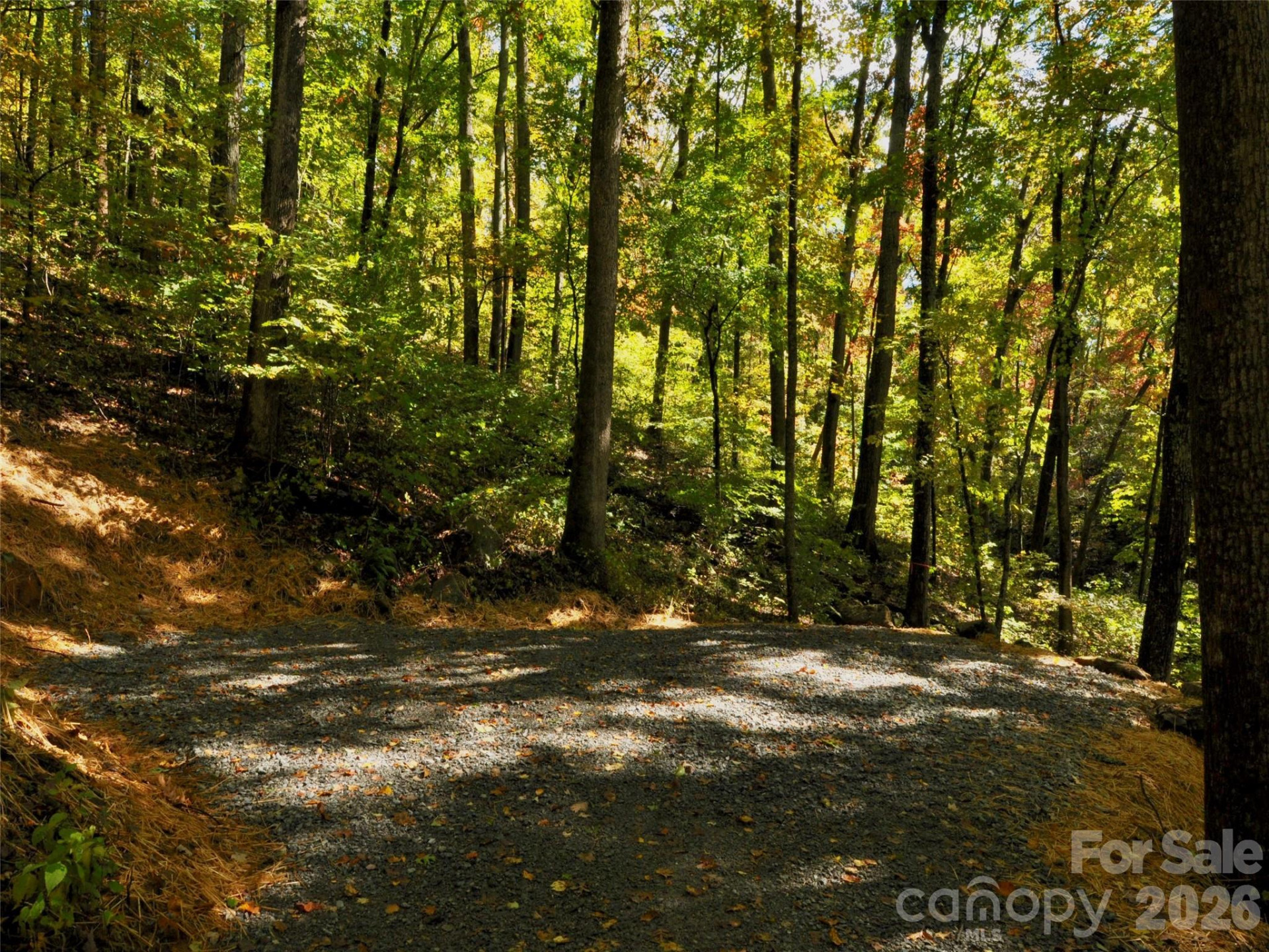 841 Blackthorne Lane - Photo 22