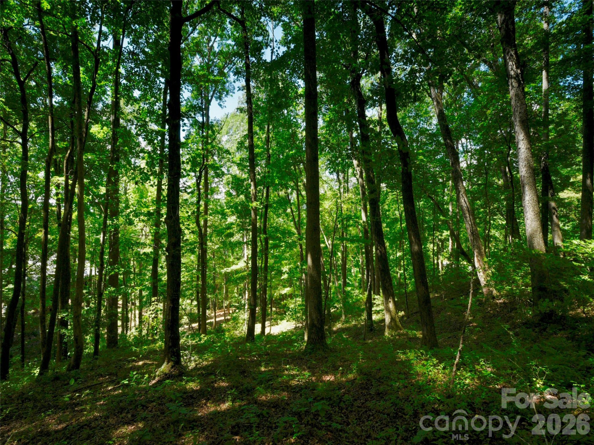 841 Blackthorne Lane - Photo 23