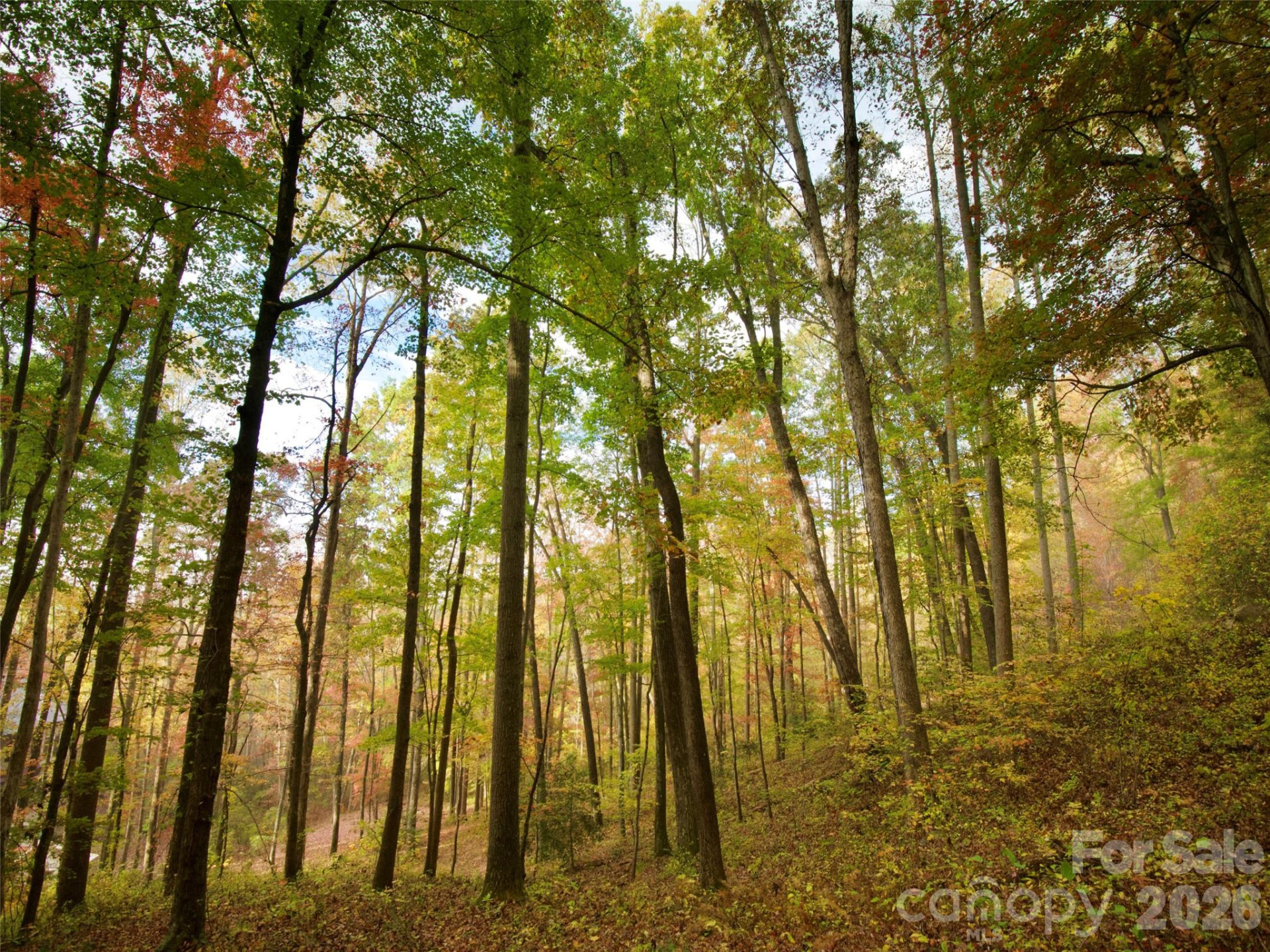 841 Blackthorne Lane - Photo 6