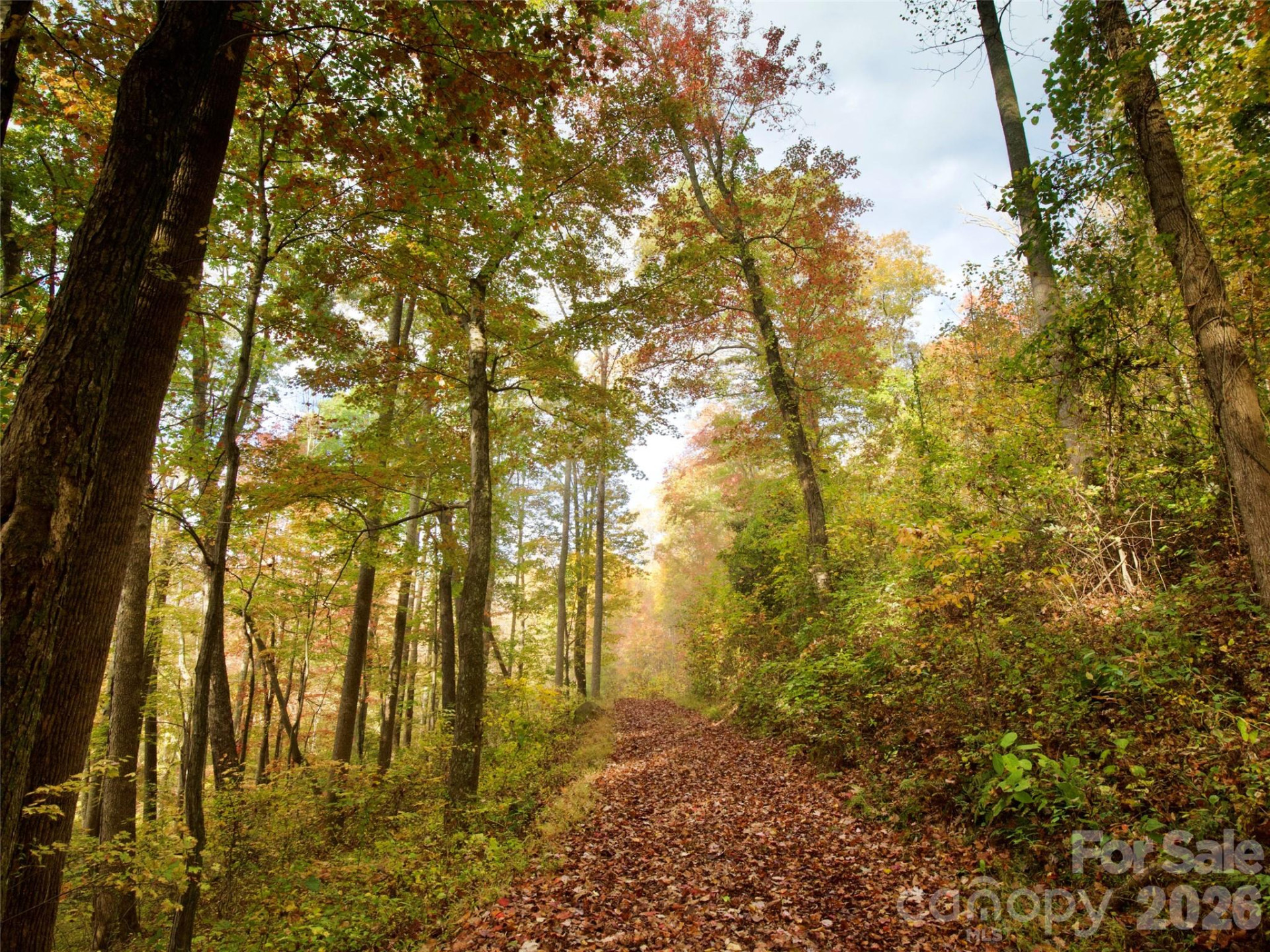 841 Blackthorne Lane - Photo 7