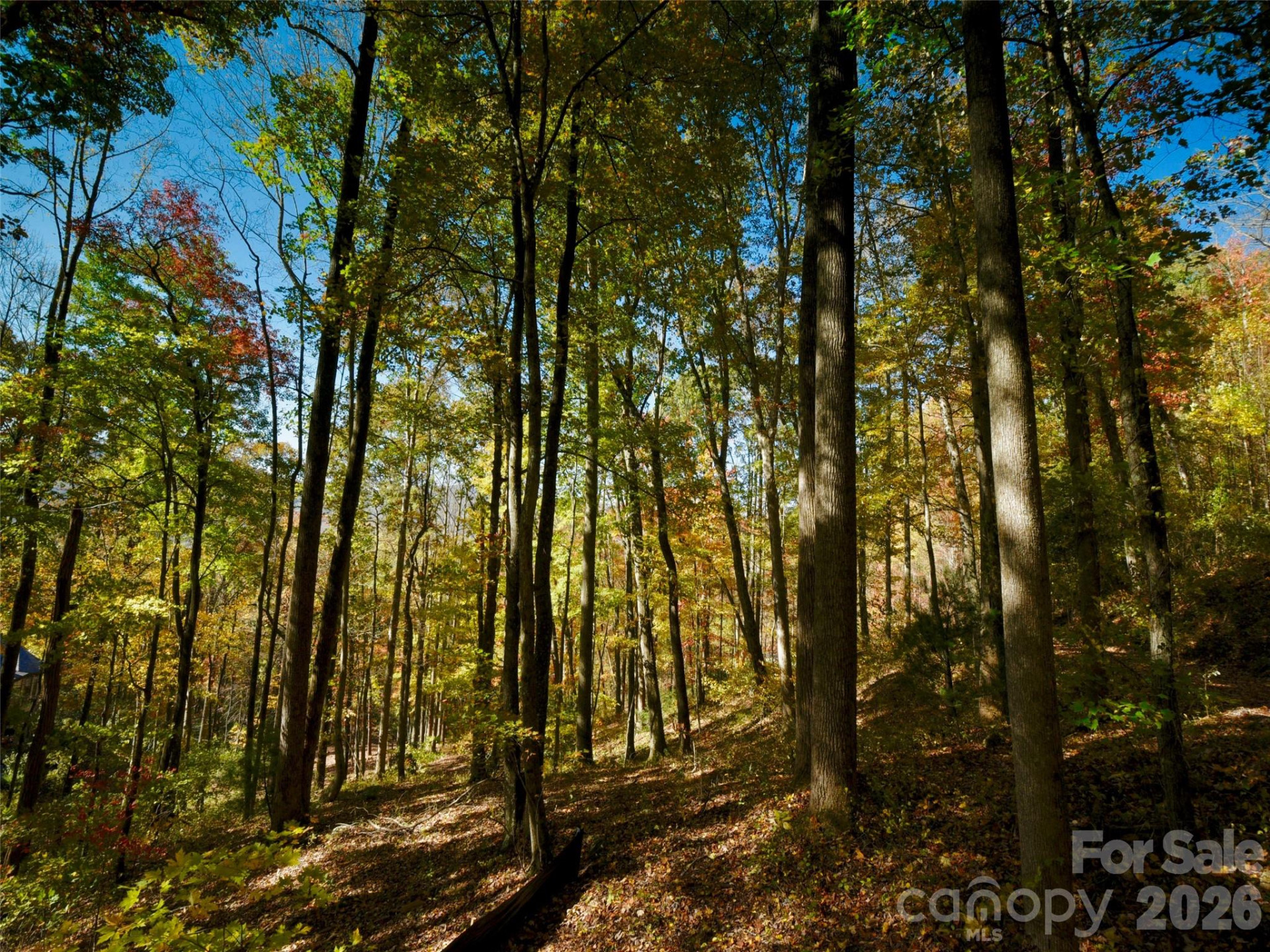 841 Blackthorne Lane - Photo 9