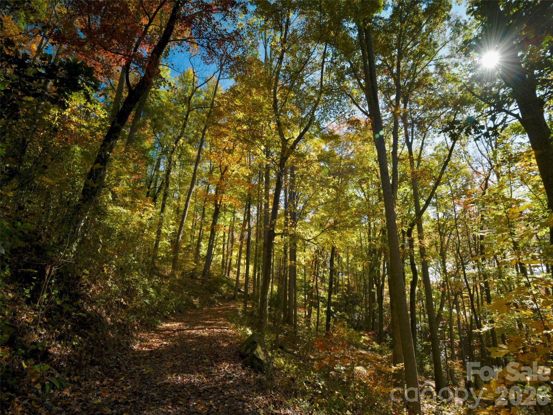 841 Blackthorne Lane - Photo 10