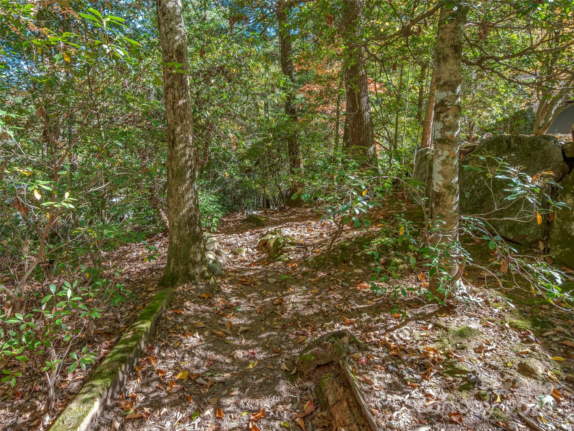 89 Memory Lane - Photo 35