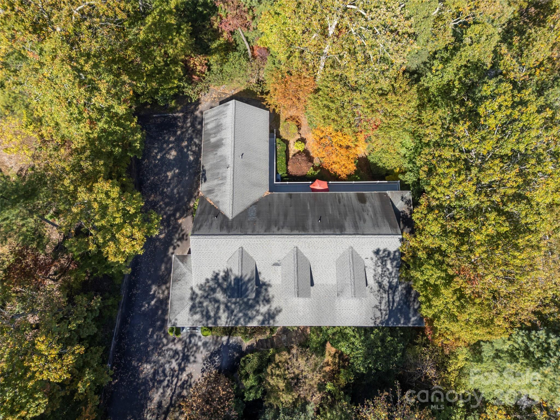 89 Memory Lane - Photo 37