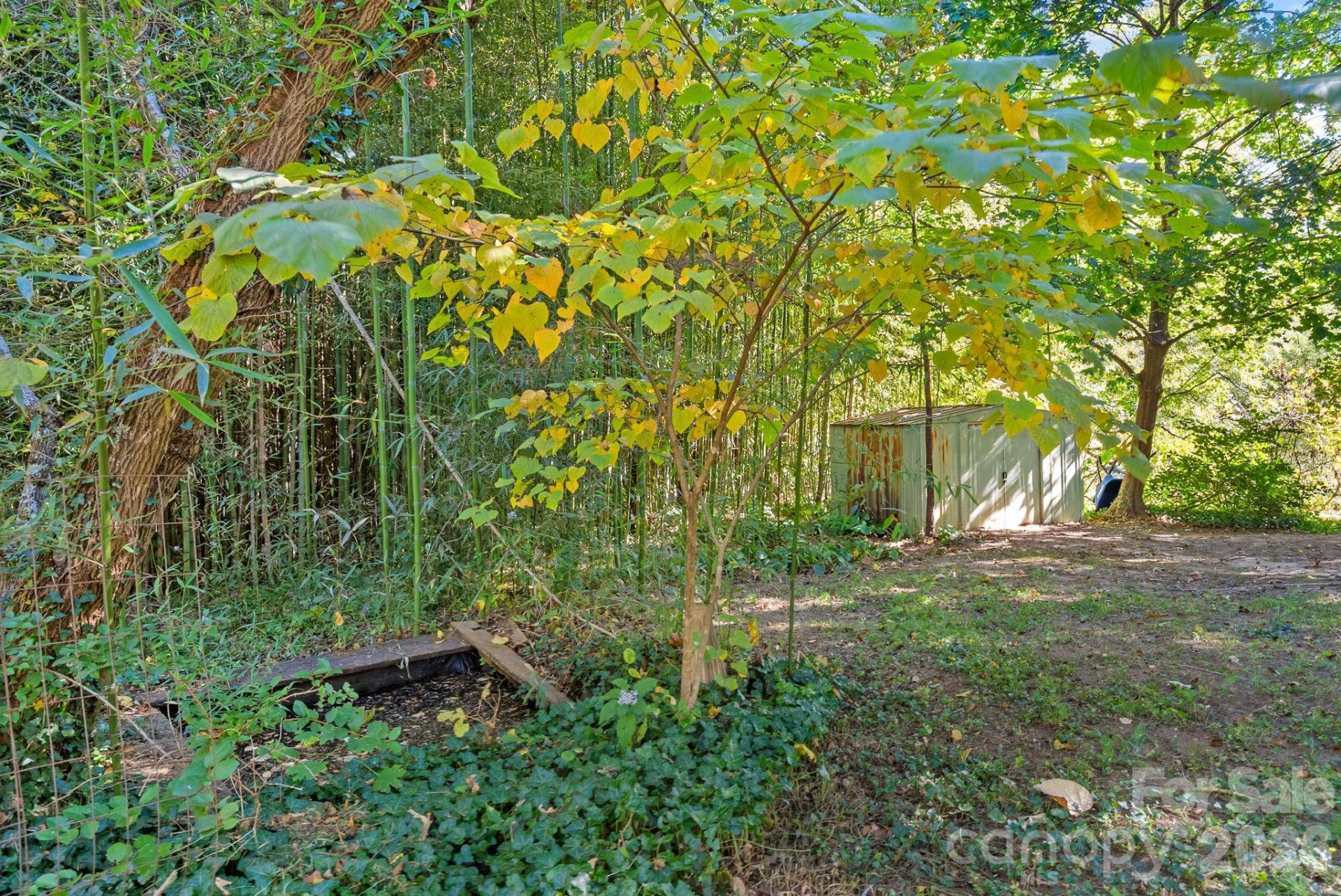 414 Beaucatcher Road - Photo 63