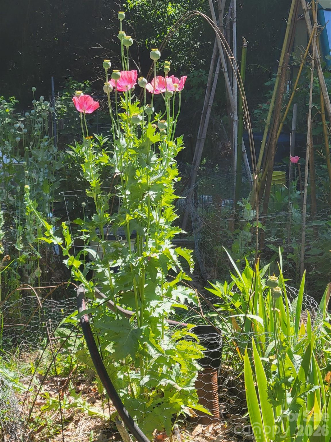 414 Beaucatcher Road - Photo 73