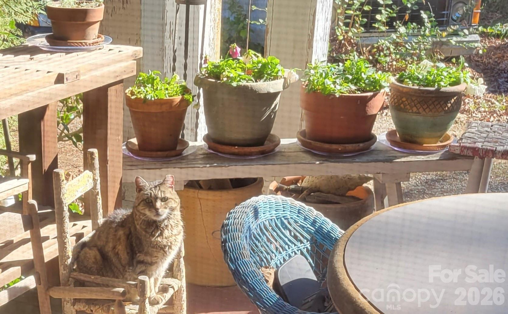 414 Beaucatcher Road - Photo 74