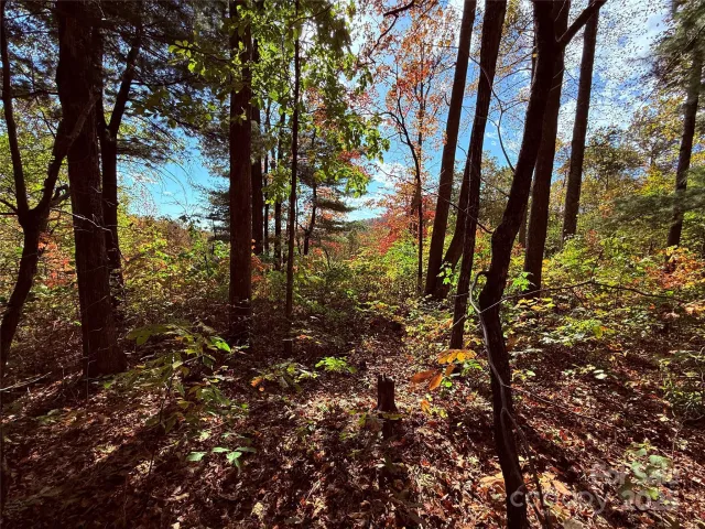 312 Hollybrook Drive, Flat Rock, NC, 28731