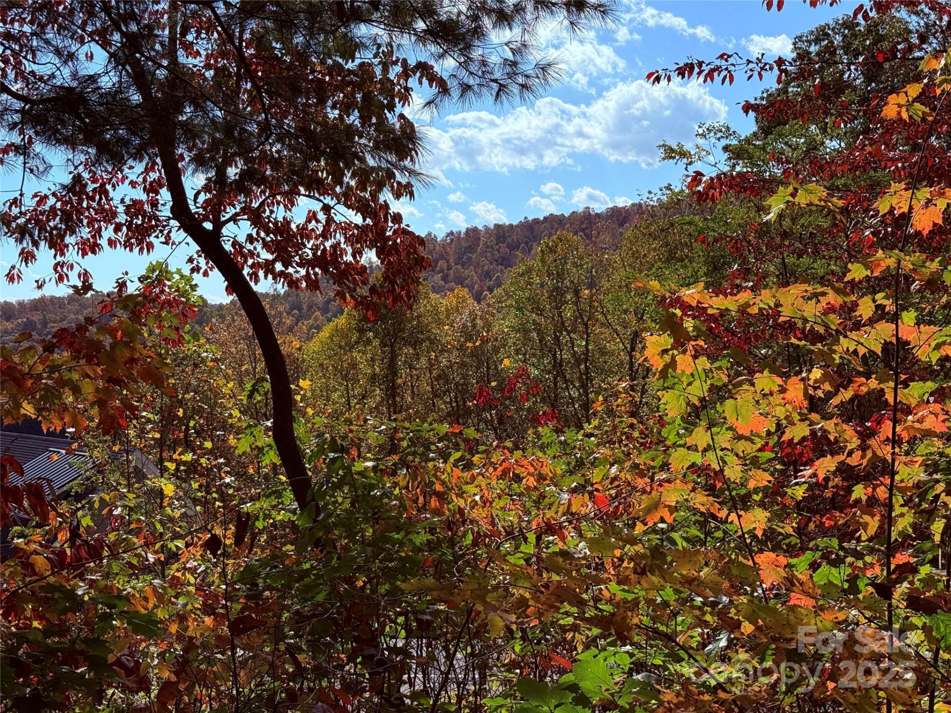 312 Hollybrook Drive #S-1R - Photo 2