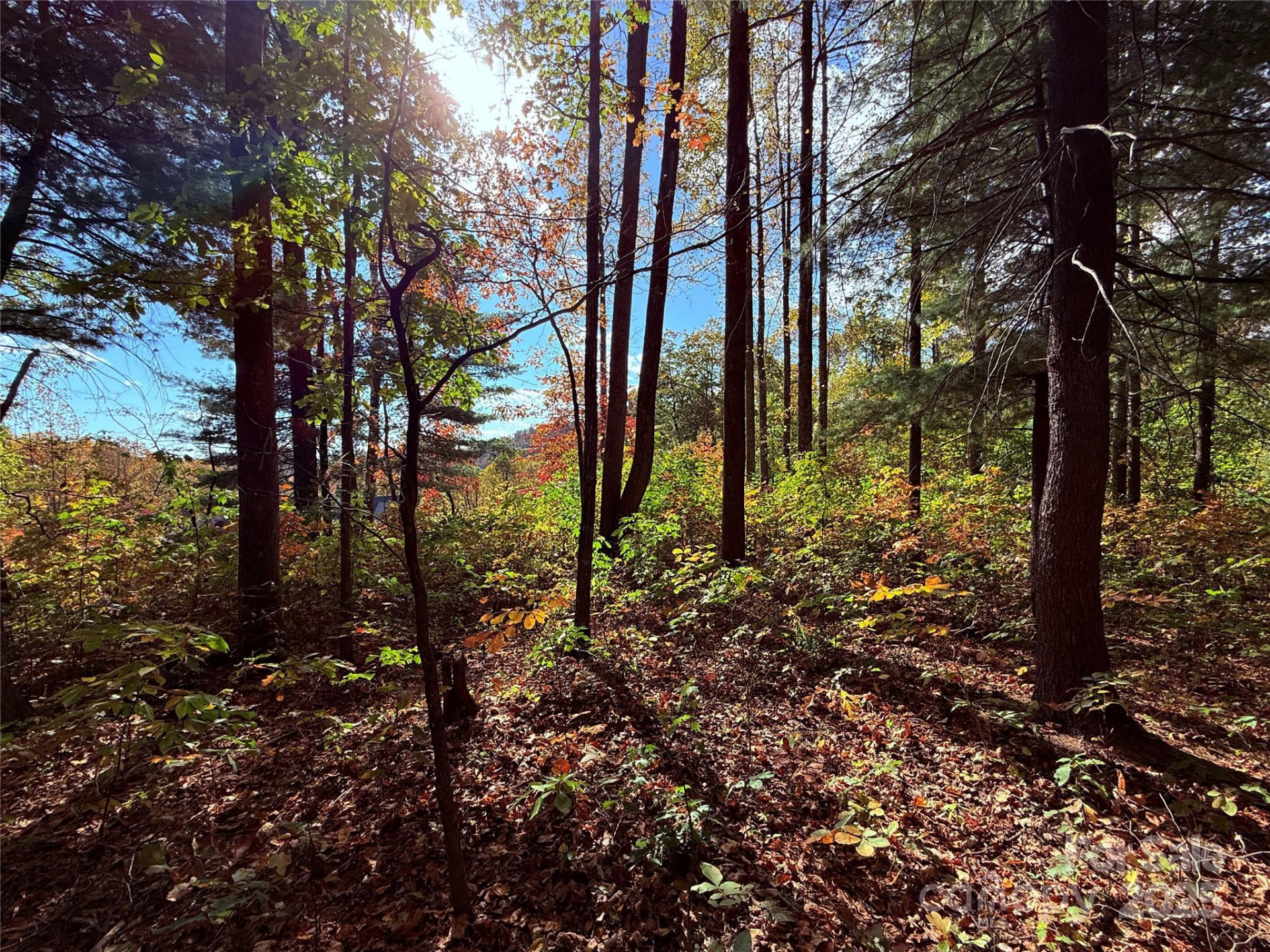 312 Hollybrook Drive #S-1R - Photo 12