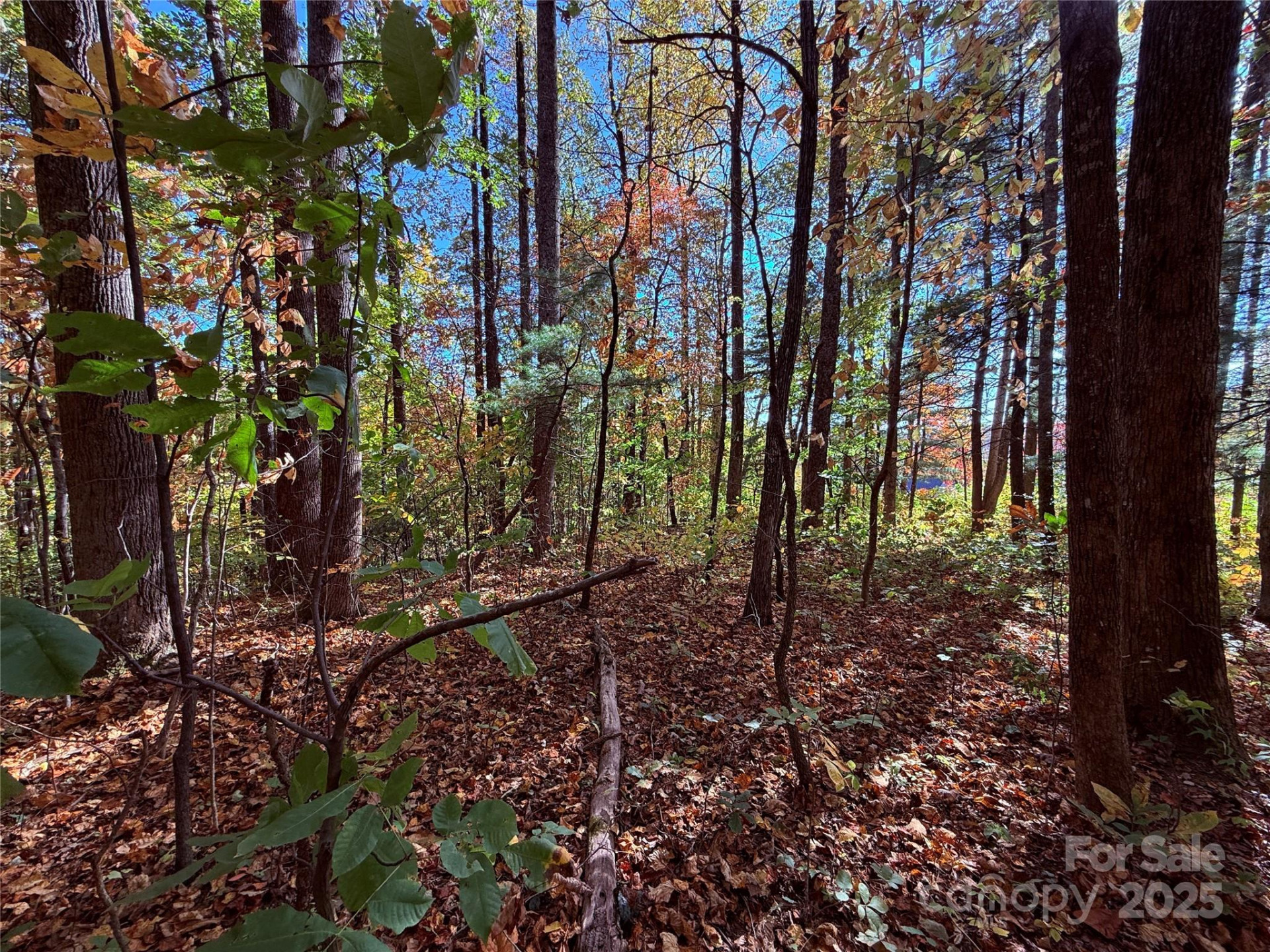 312 Hollybrook Drive #S-1R - Photo 13