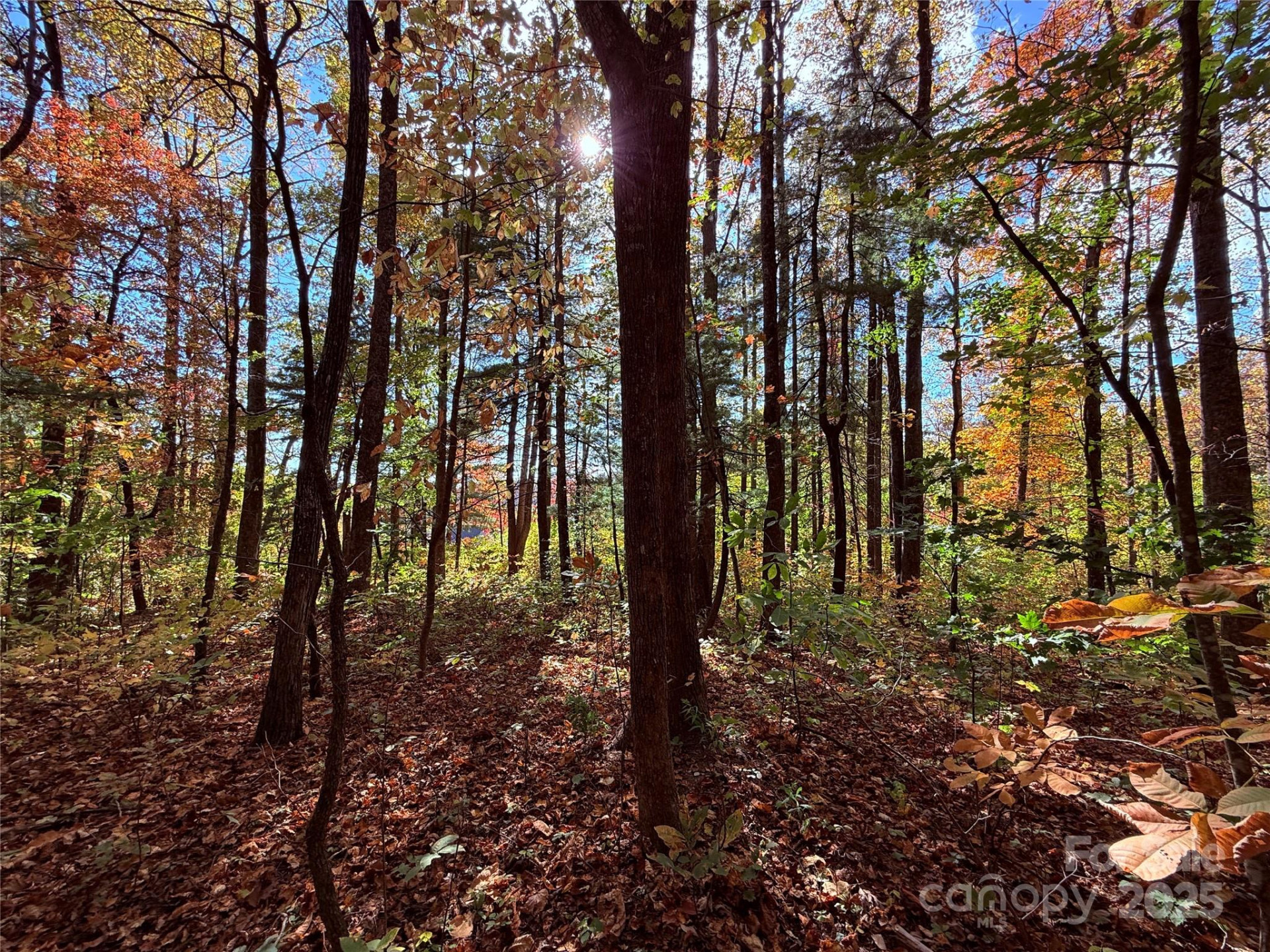 312 Hollybrook Drive #S-1R - Photo 14