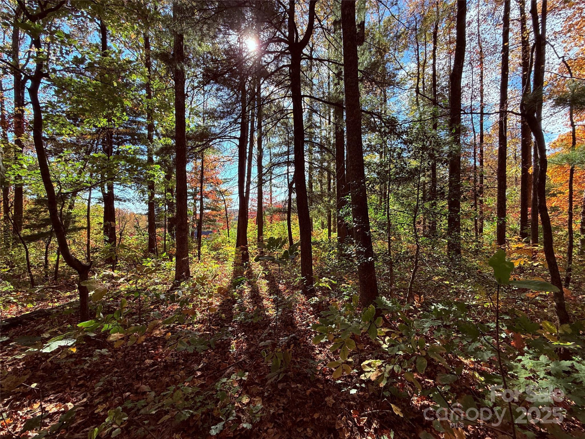 312 Hollybrook Drive #S-1R - Photo 16