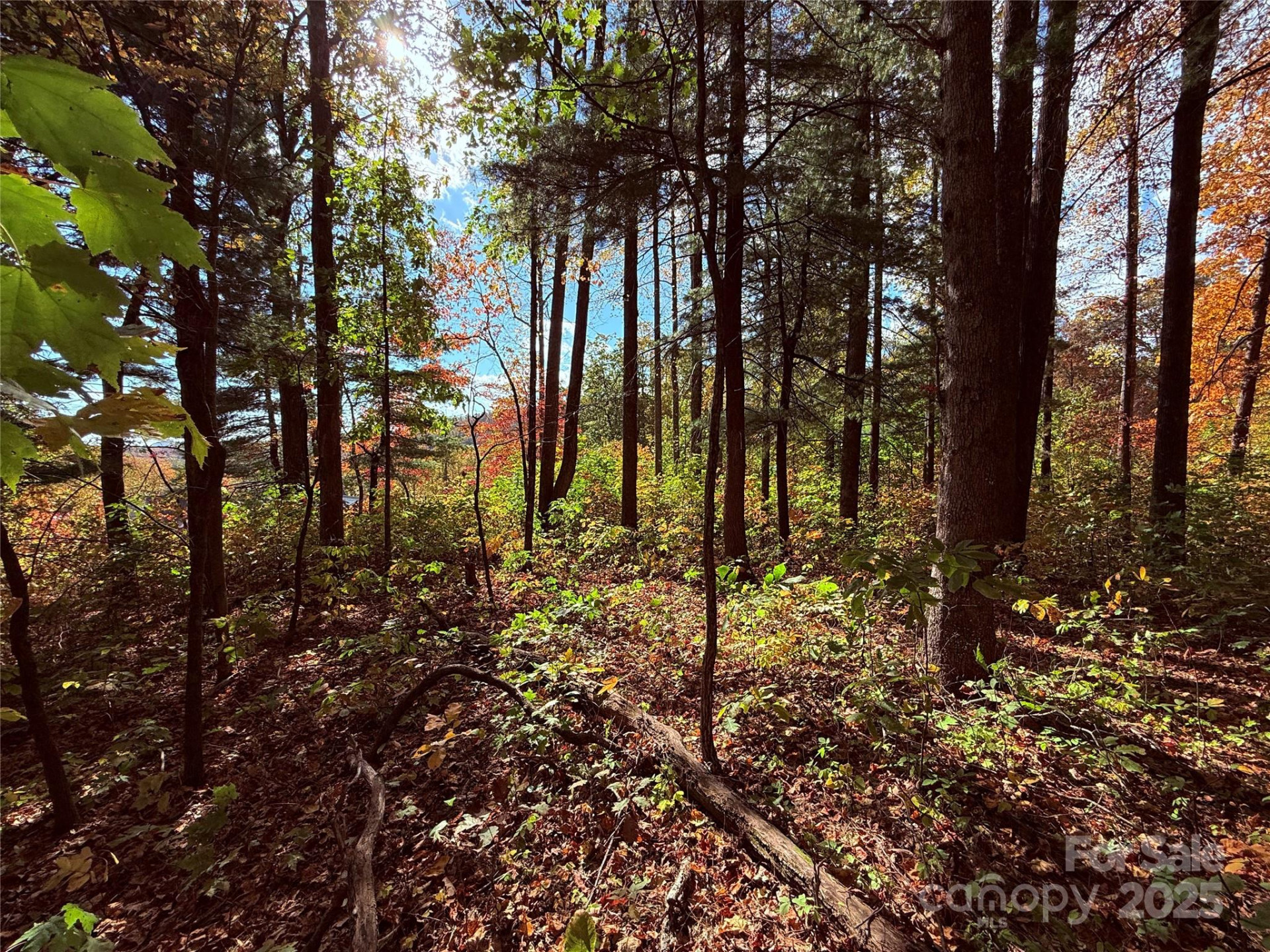 312 Hollybrook Drive #S-1R - Photo 17