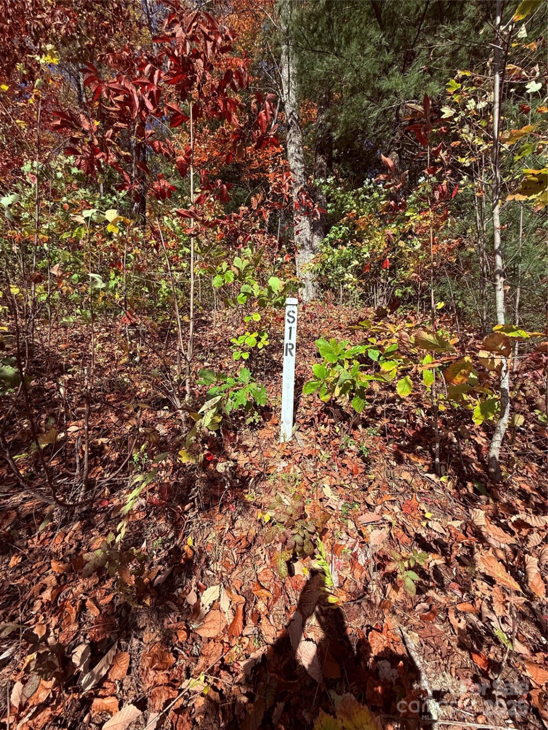 312 Hollybrook Drive #S-1R - Photo 19