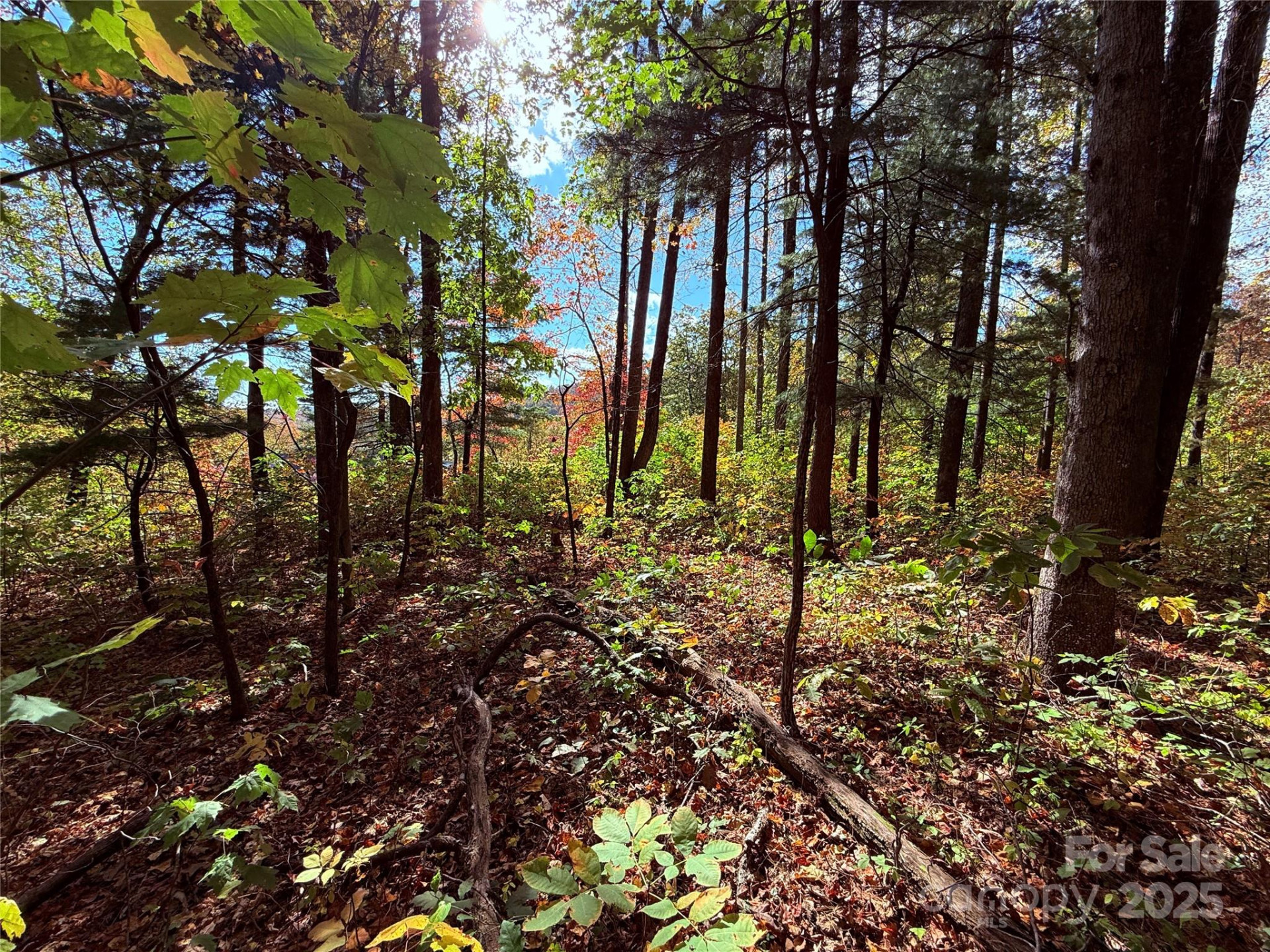 312 Hollybrook Drive #S-1R - Photo 20