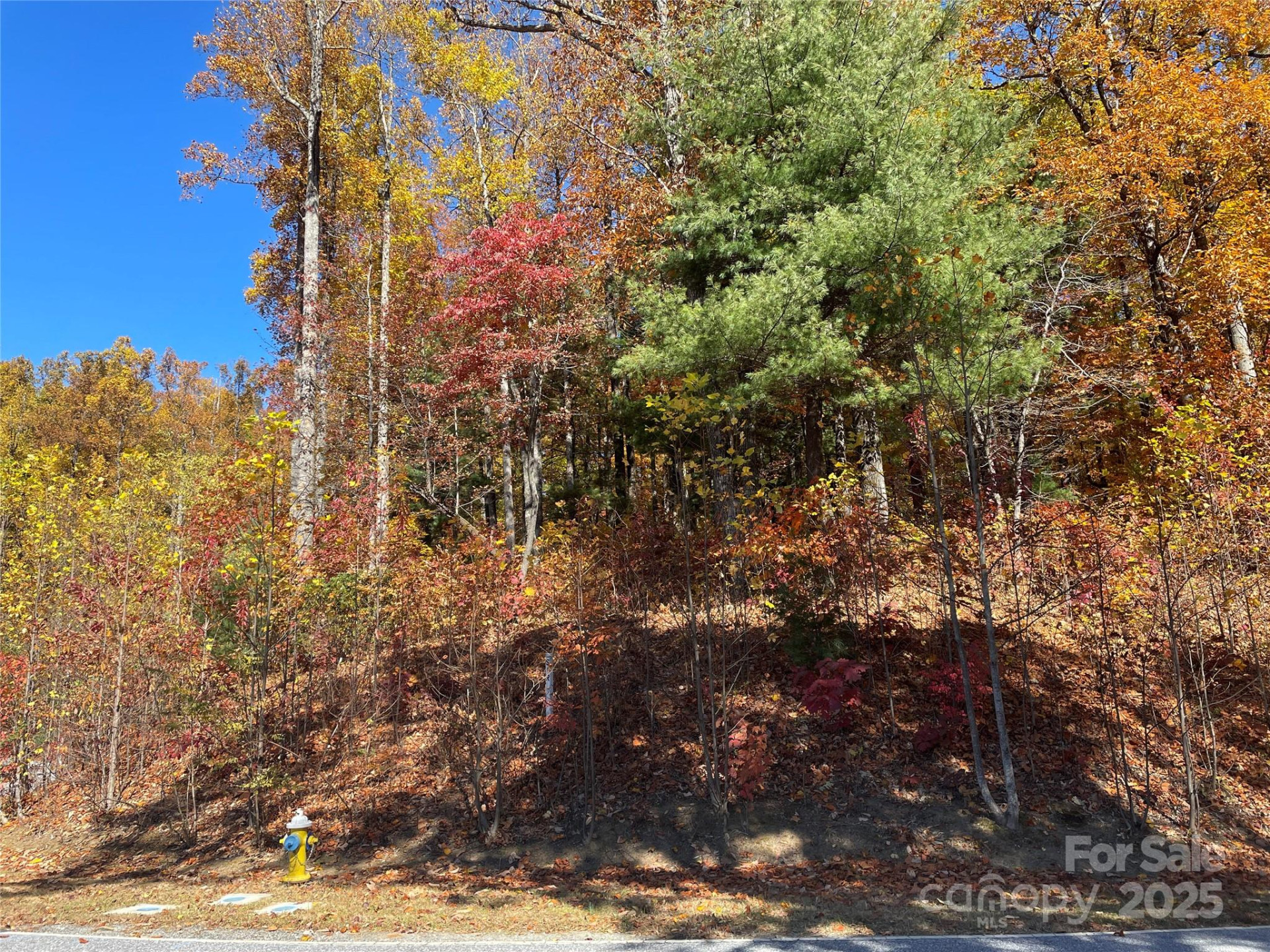 312 Hollybrook Drive #S-1R - Photo 3