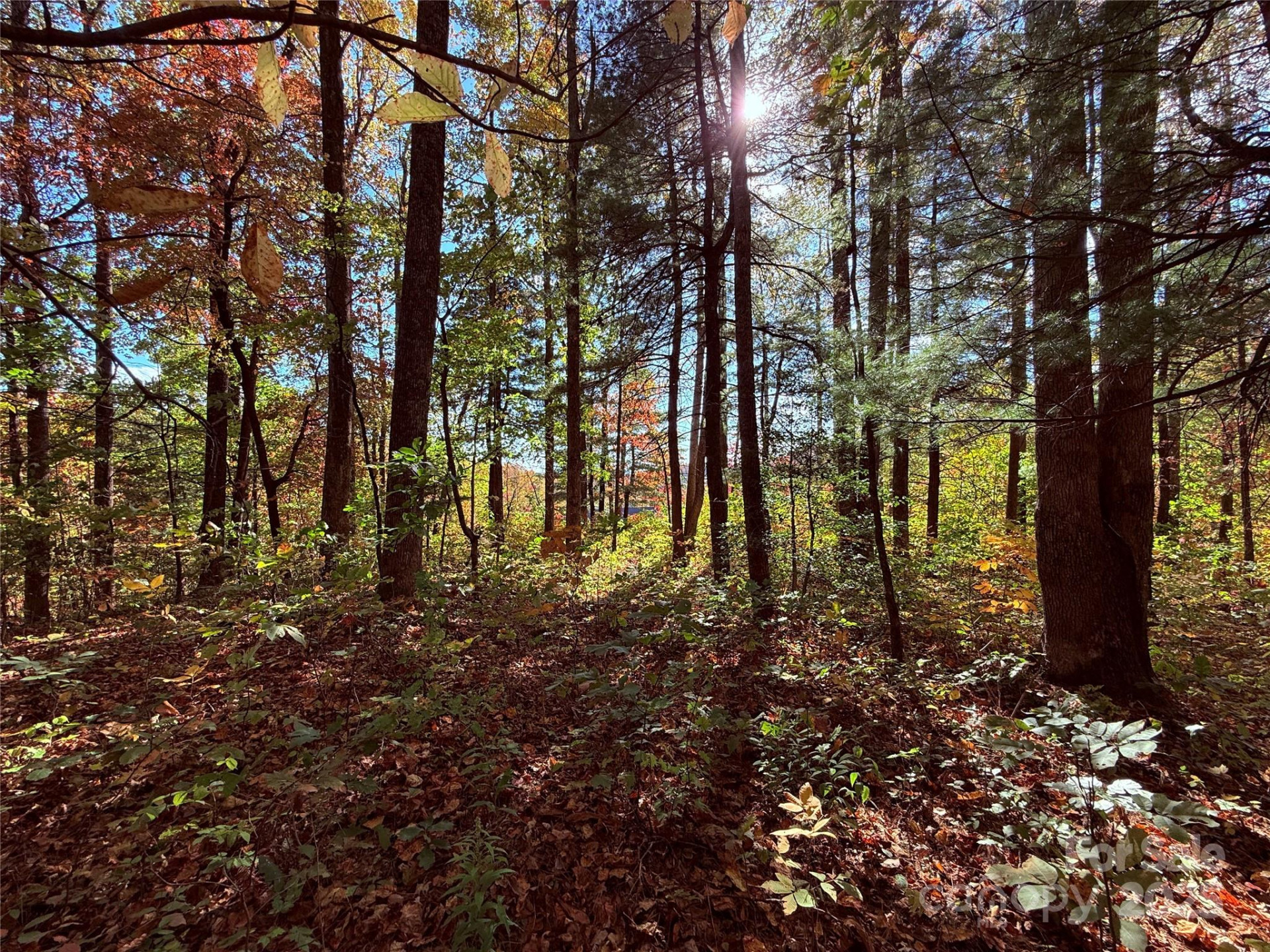 312 Hollybrook Drive #S-1R - Photo 21