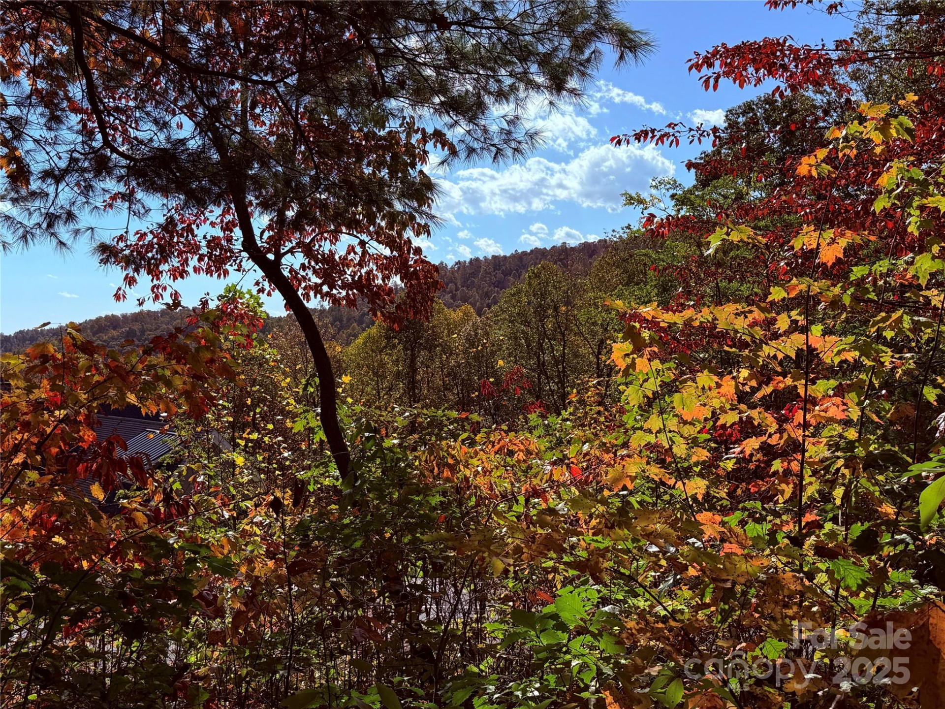 312 Hollybrook Drive #S-1R - Photo 22