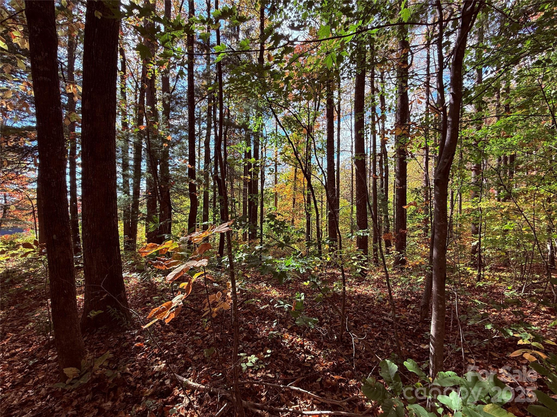 312 Hollybrook Drive #S-1R - Photo 23