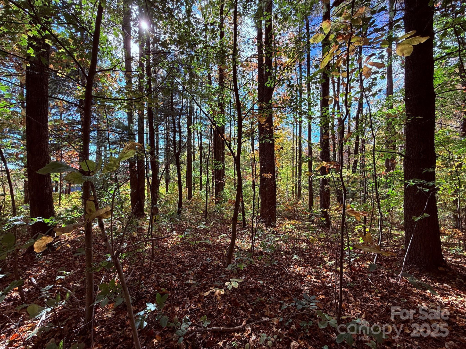 312 Hollybrook Drive #S-1R - Photo 24