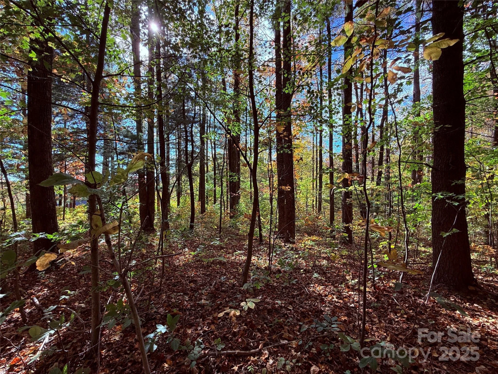 312 Hollybrook Drive #S-1R - Photo 24