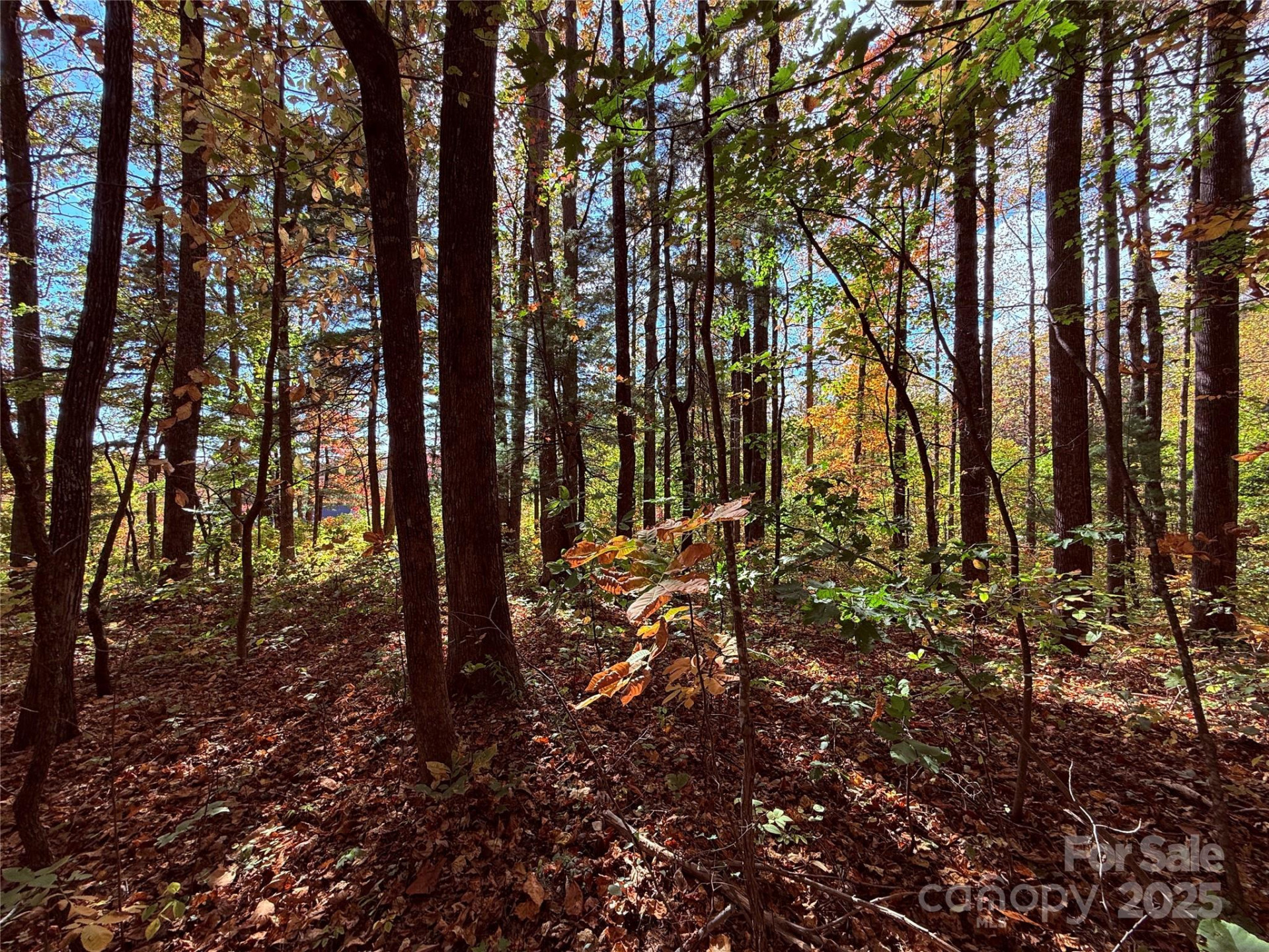 312 Hollybrook Drive #S-1R - Photo 26