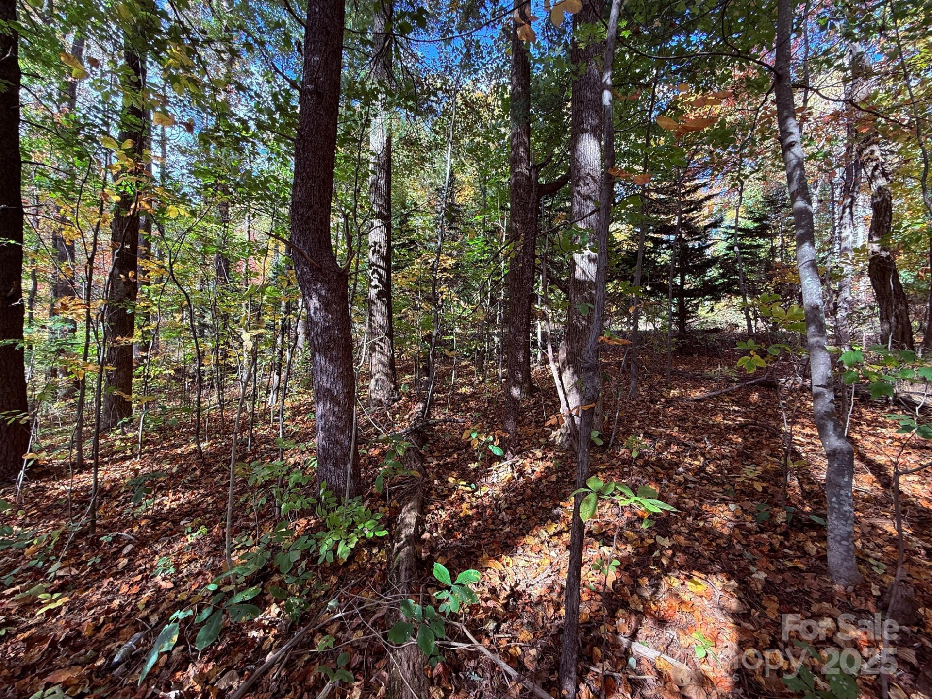 312 Hollybrook Drive #S-1R - Photo 27