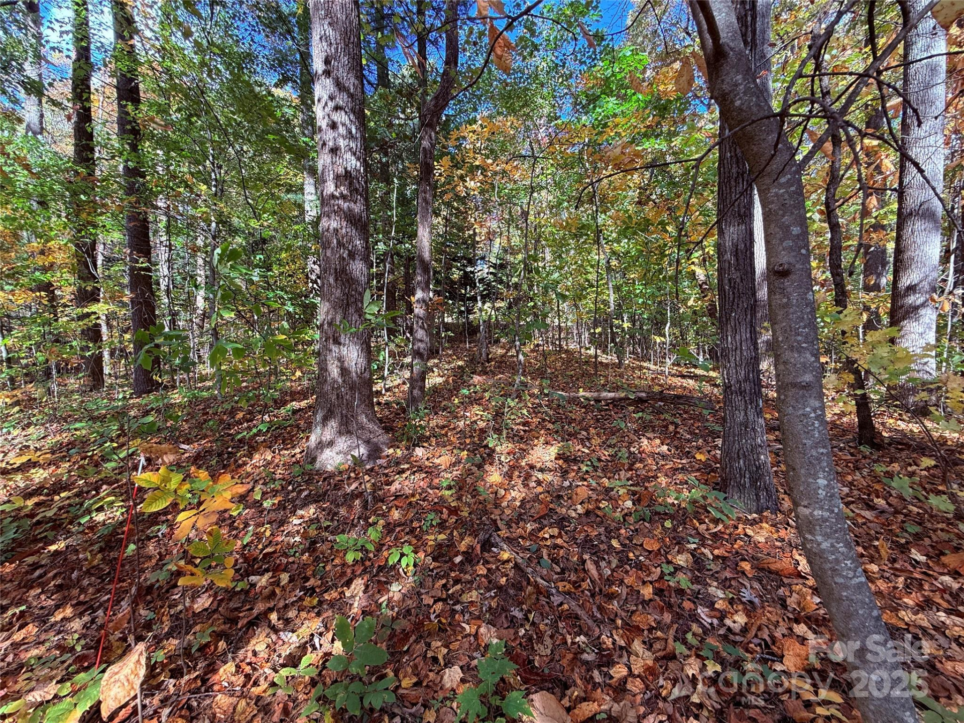 312 Hollybrook Drive #S-1R - Photo 28