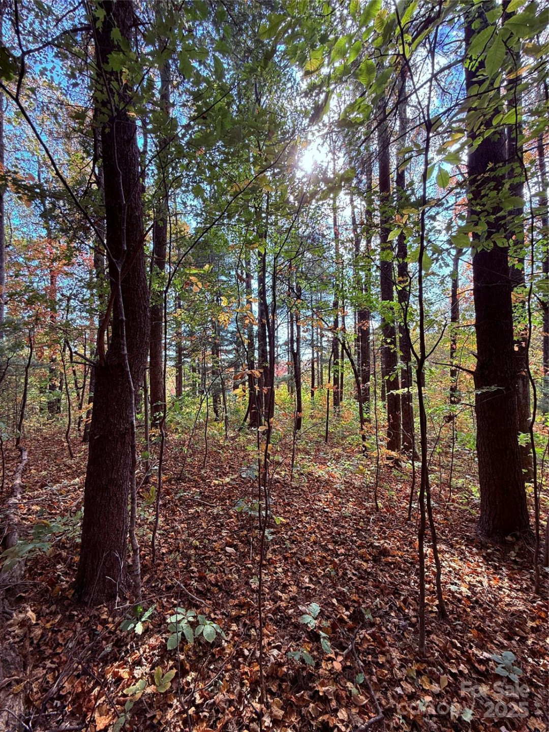 312 Hollybrook Drive #S-1R - Photo 29