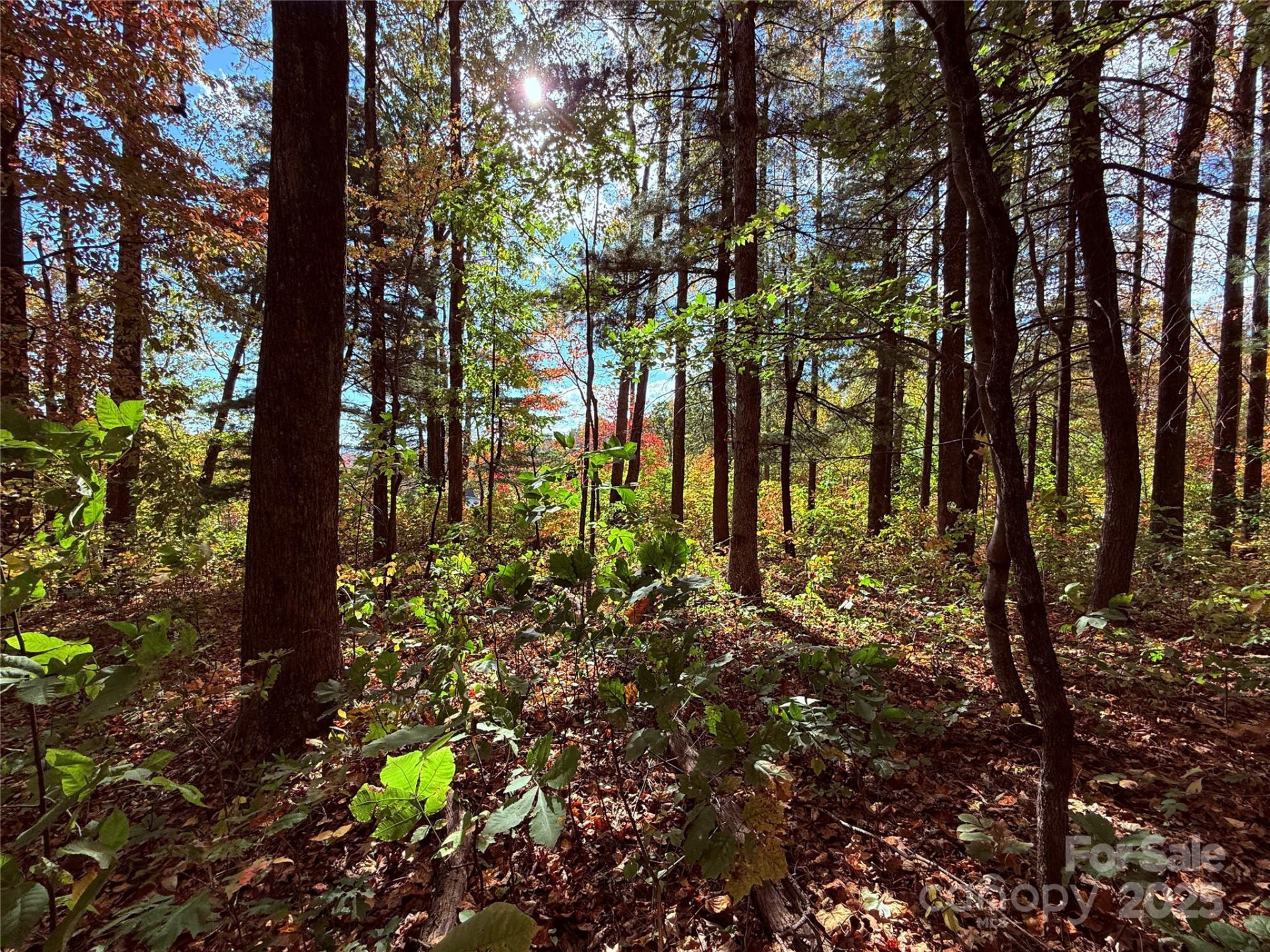 312 Hollybrook Drive #S-1R - Photo 30