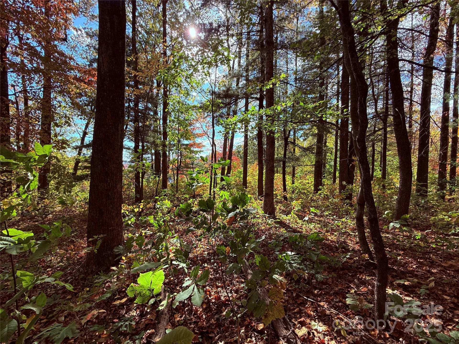312 Hollybrook Drive #S-1R - Photo 30