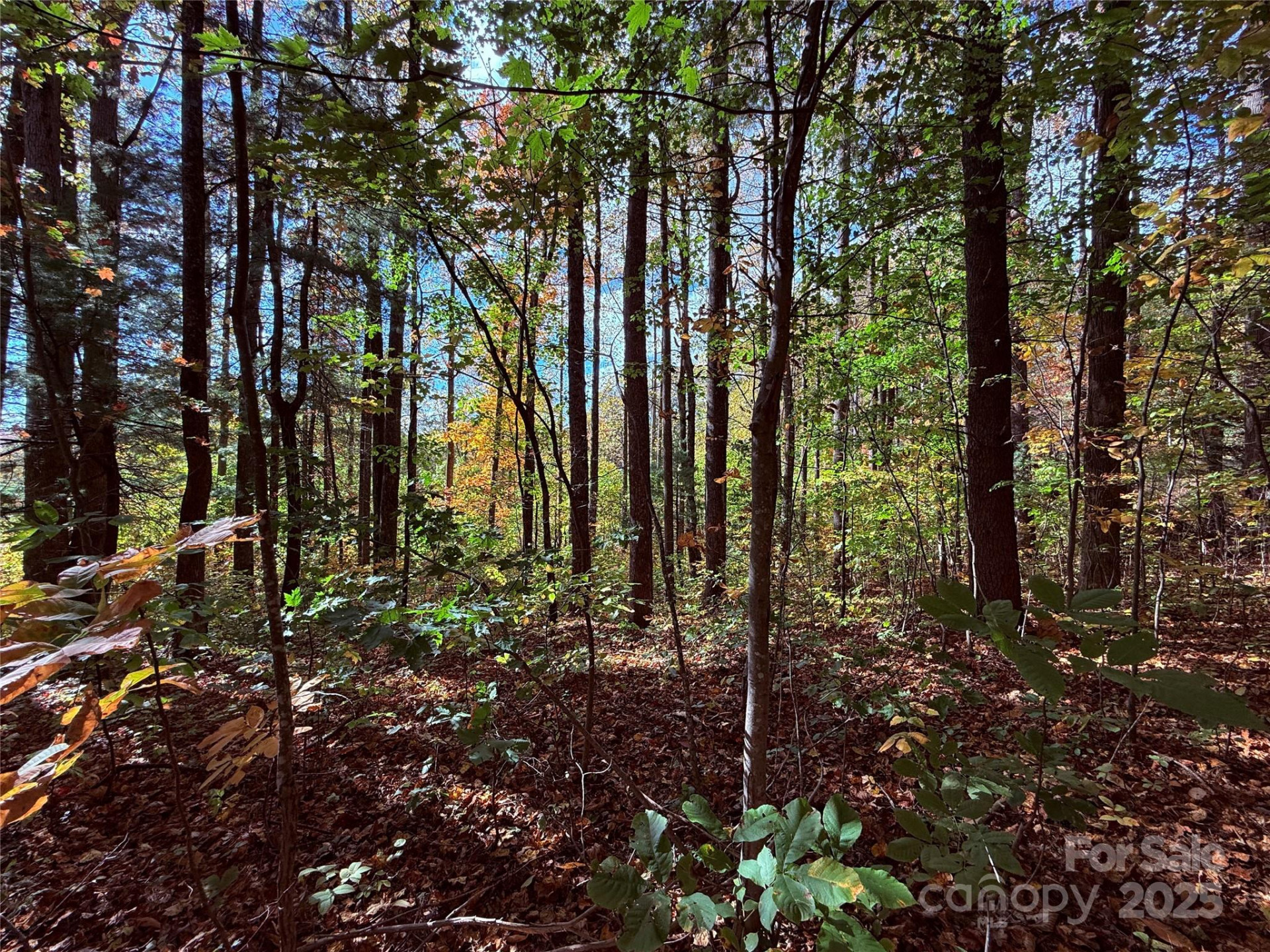 312 Hollybrook Drive #S-1R - Photo 4