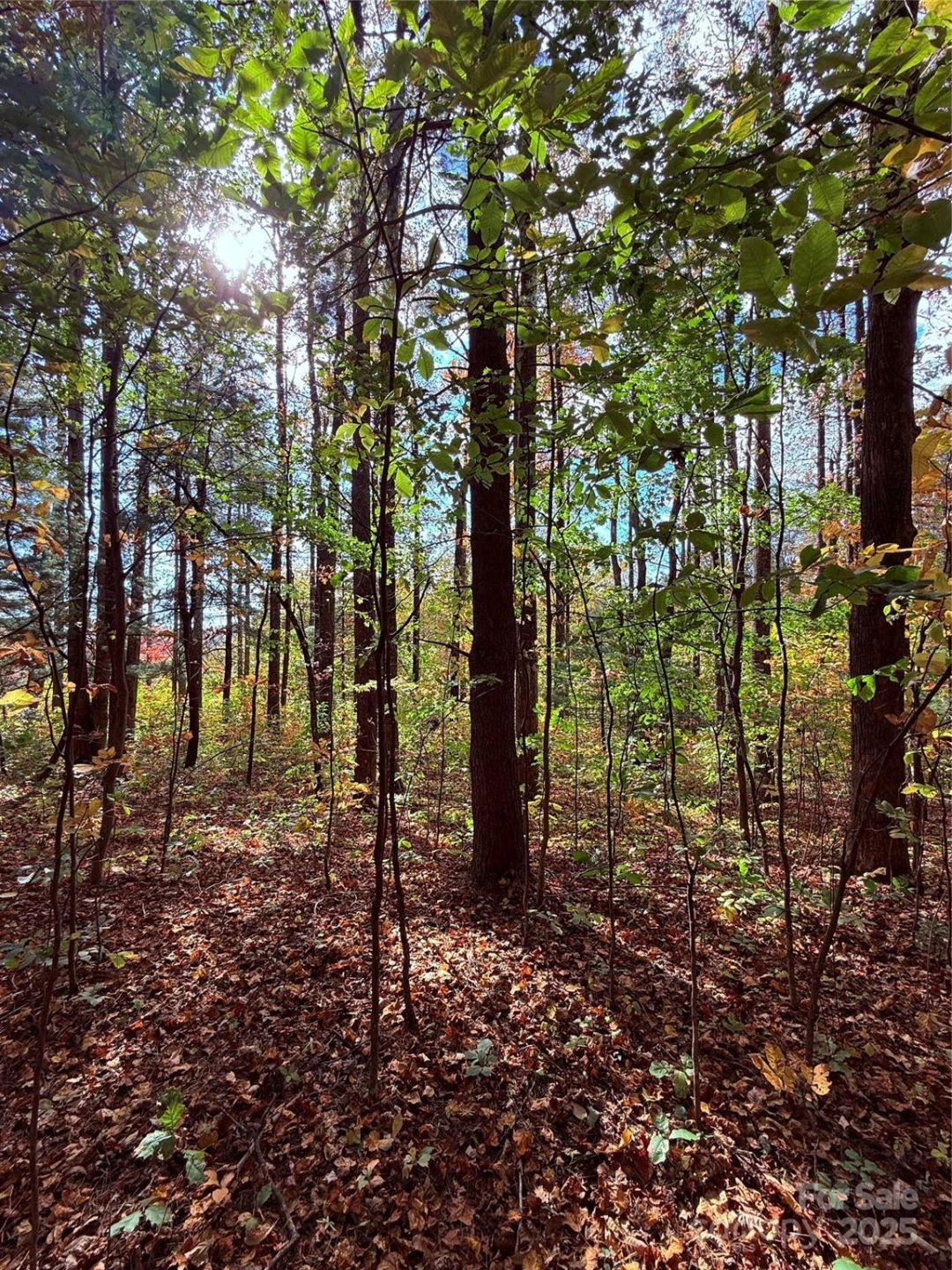 312 Hollybrook Drive #S-1R - Photo 31