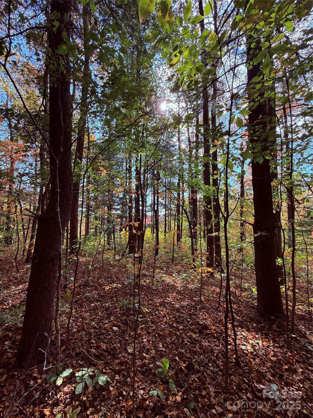 312 Hollybrook Drive #S-1R - Photo 32