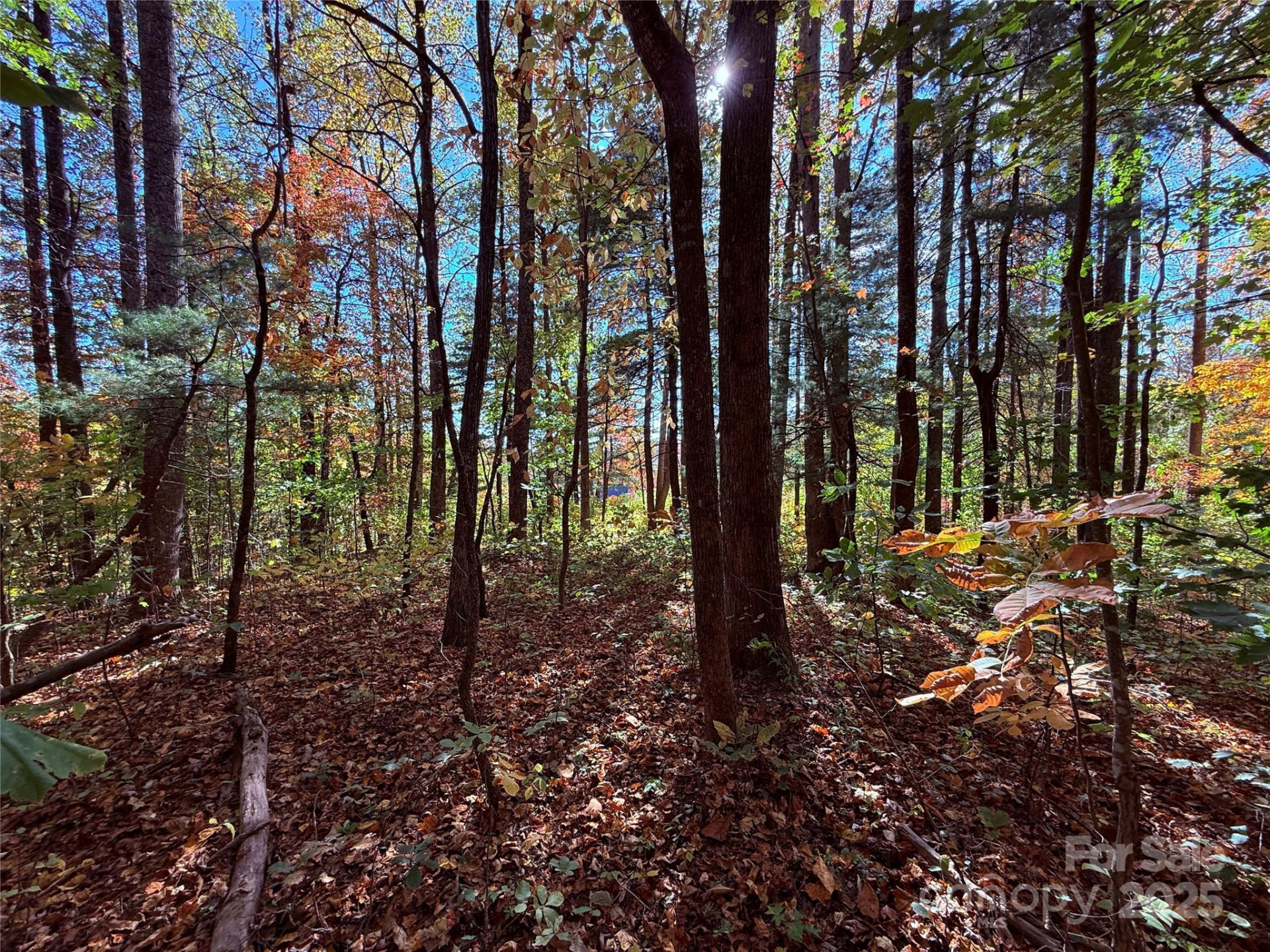 312 Hollybrook Drive #S-1R - Photo 33