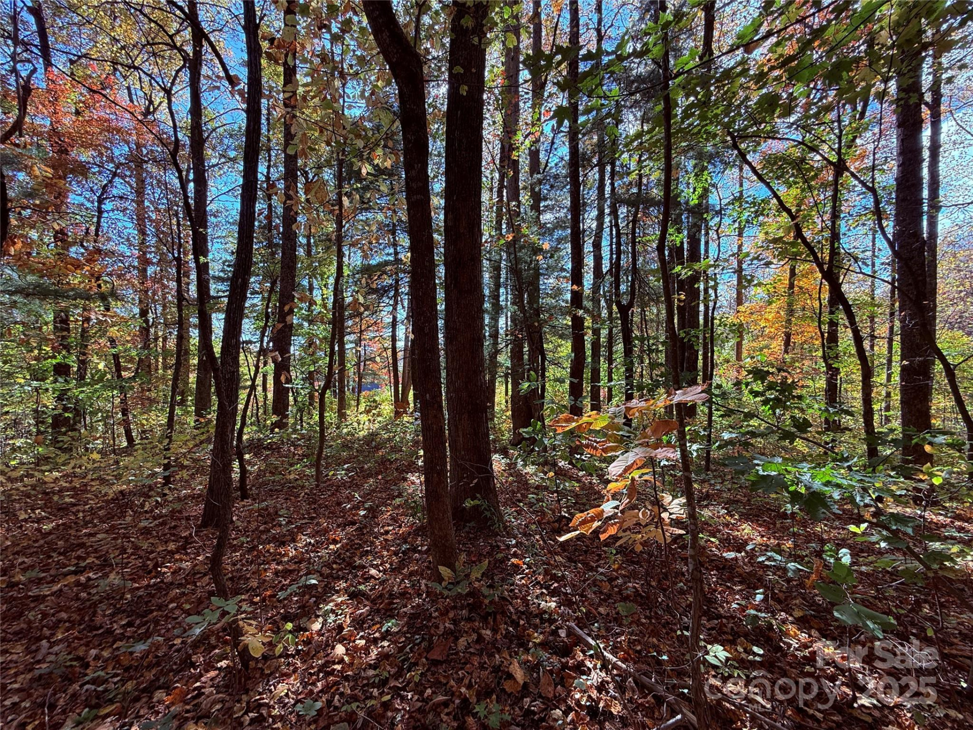 312 Hollybrook Drive #S-1R - Photo 34